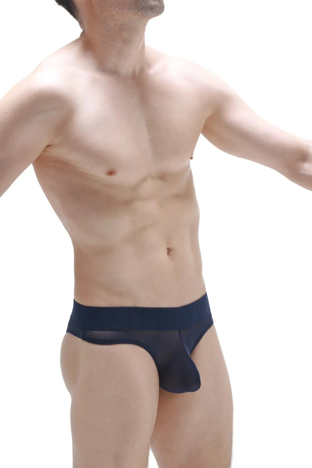 Navy blue sheer mesh bikini brief with solid waistband called bikini chisa net navy shown from the front