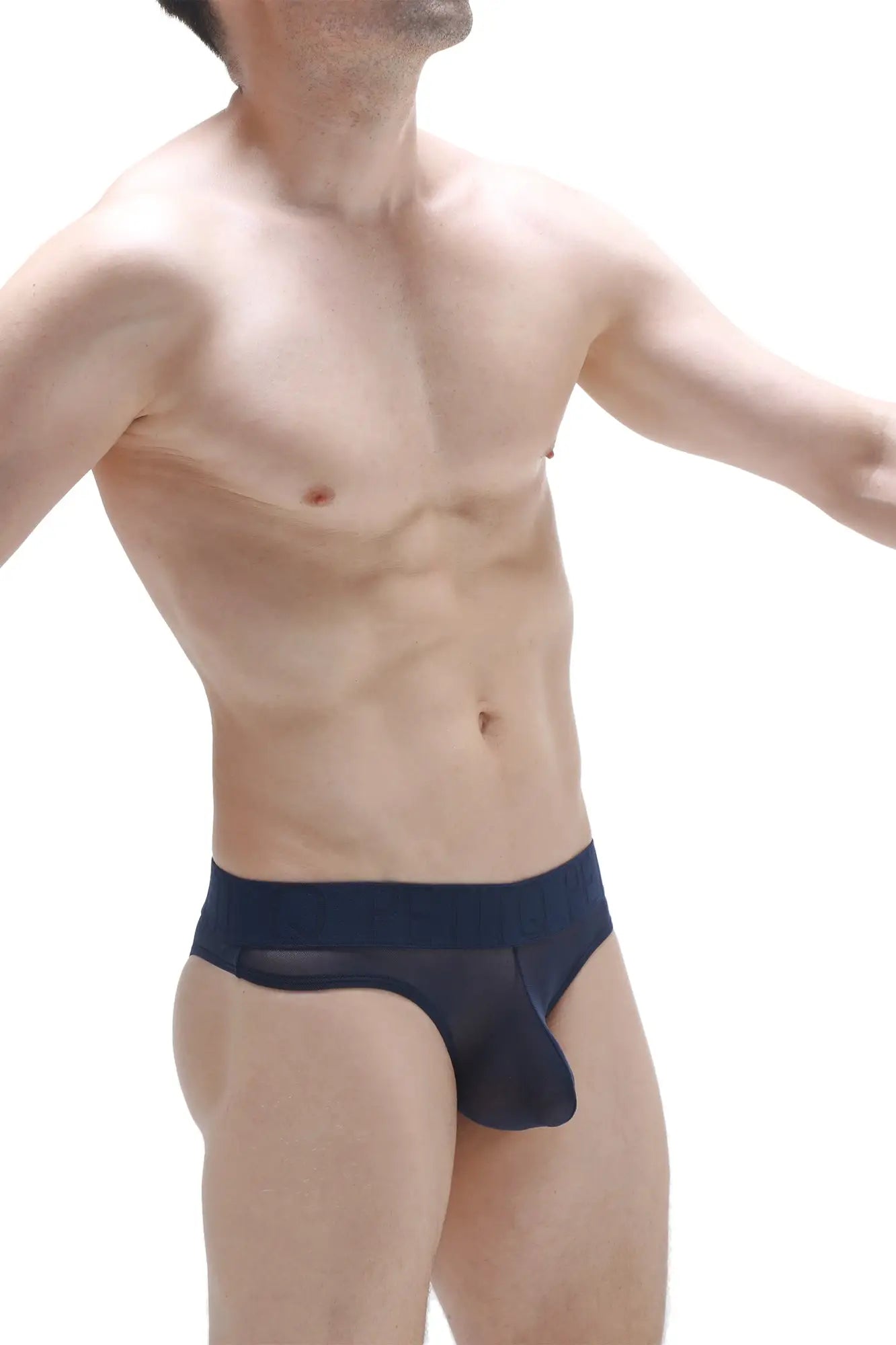 Navy blue sheer mesh bikini brief with solid waistband called bikini chisa net navy shown from the front
