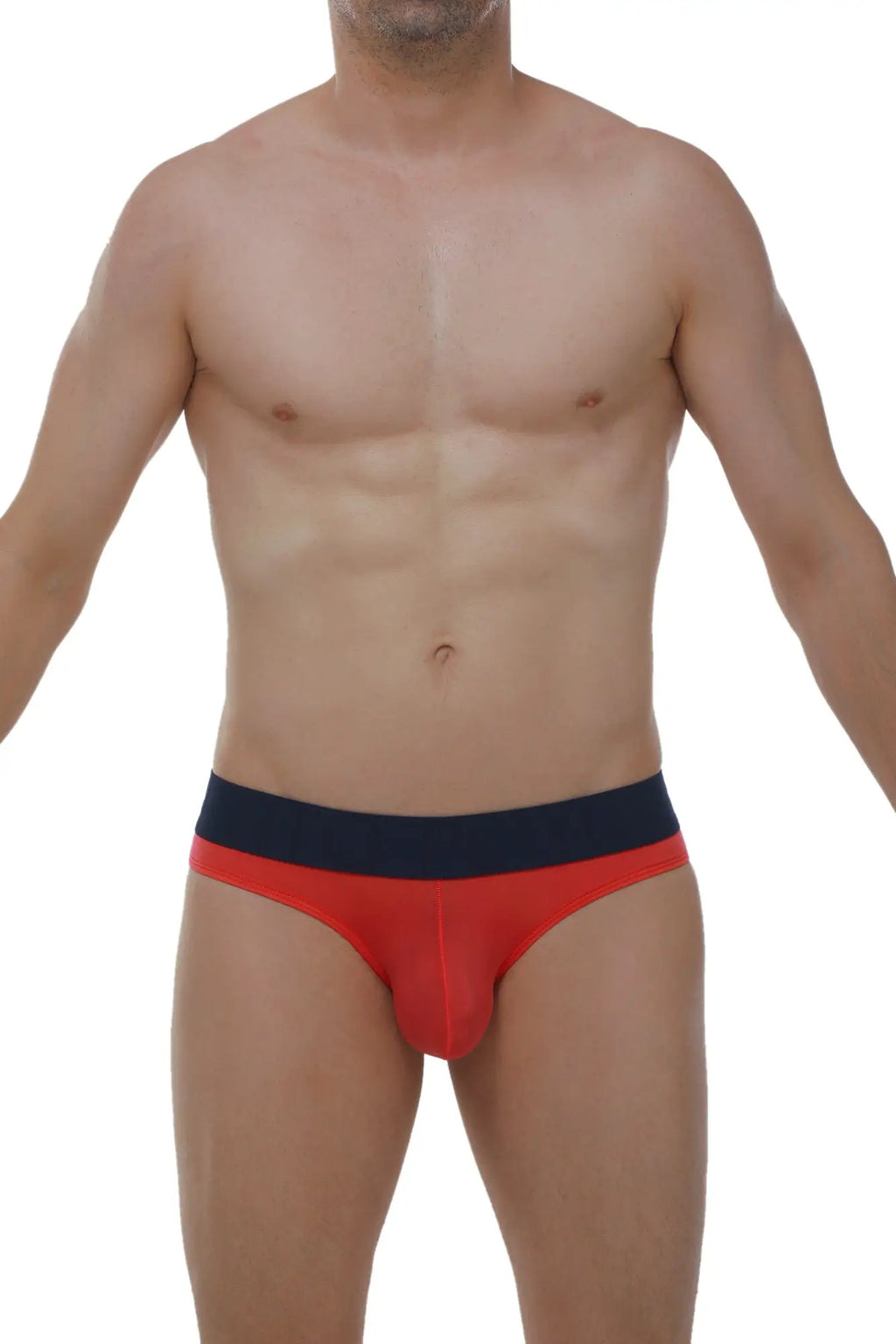 Red and navy blue bikini chisa plum crimson briefs with snug form-fitting design for comfortable wear