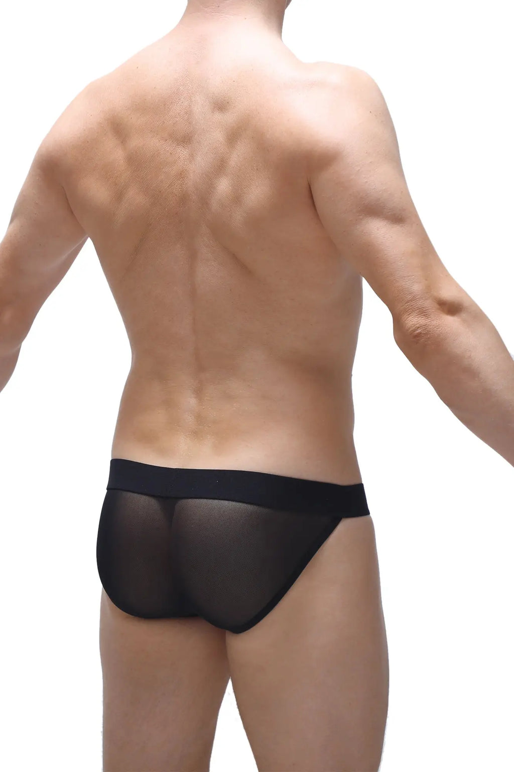 Black sheer mesh briefs bikini costac black with solid black waistband front view