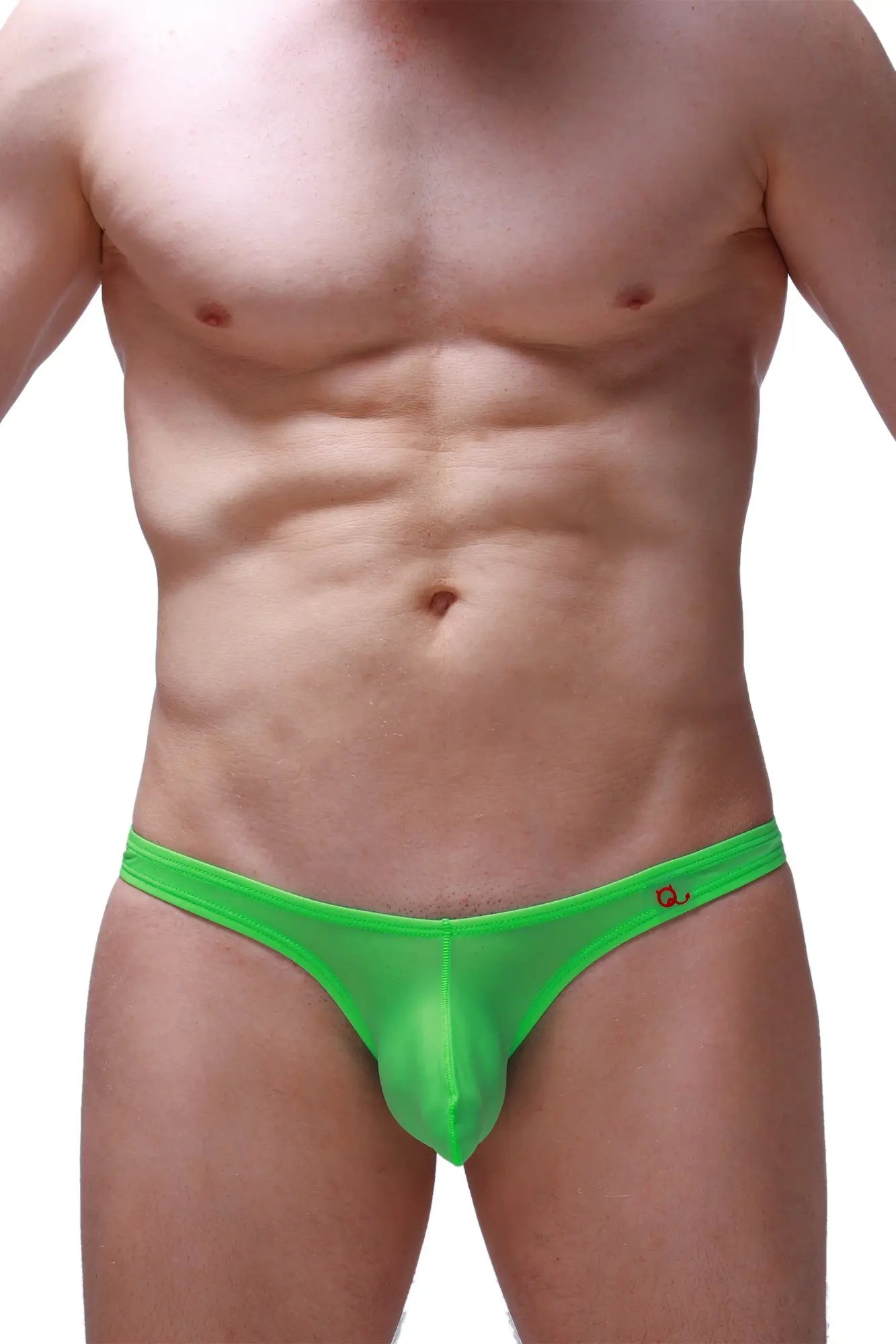 Bikini dome plum neon green bright green sheer mesh briefs with small logo on waistband front view