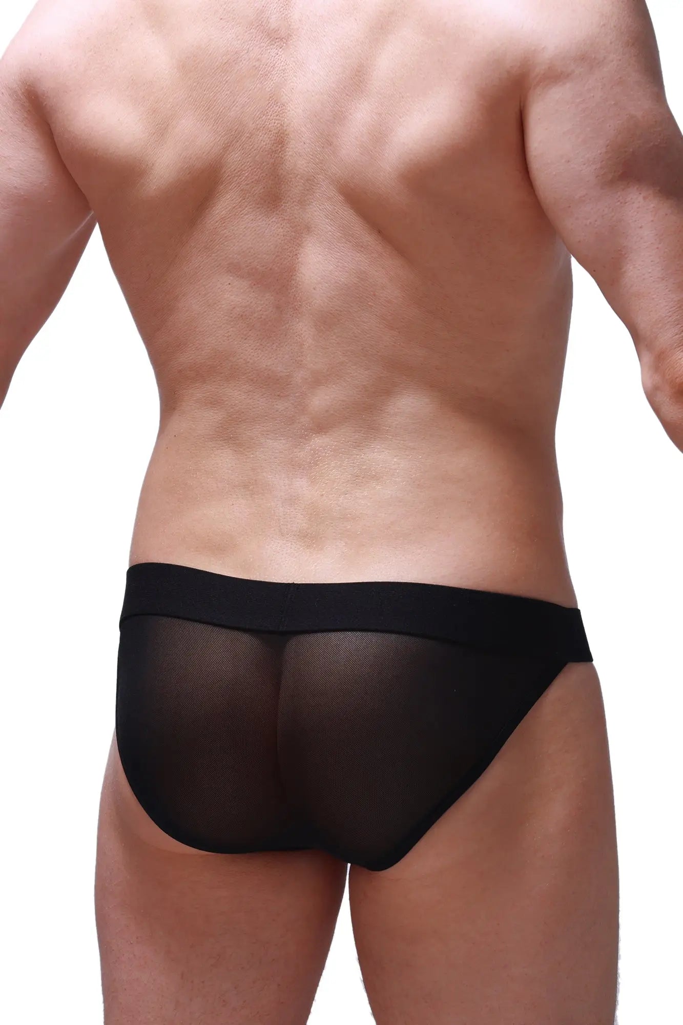 Black sheer mesh briefs with a solid black waistband bikini menhir net black front view