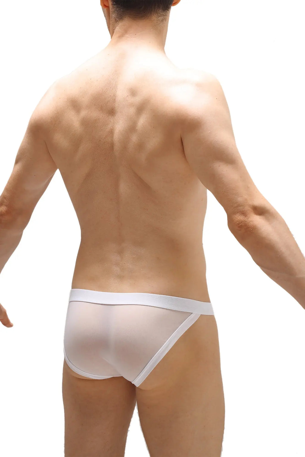White sheer mesh briefs with a solid white waistband bikini merpins white shown from the back side