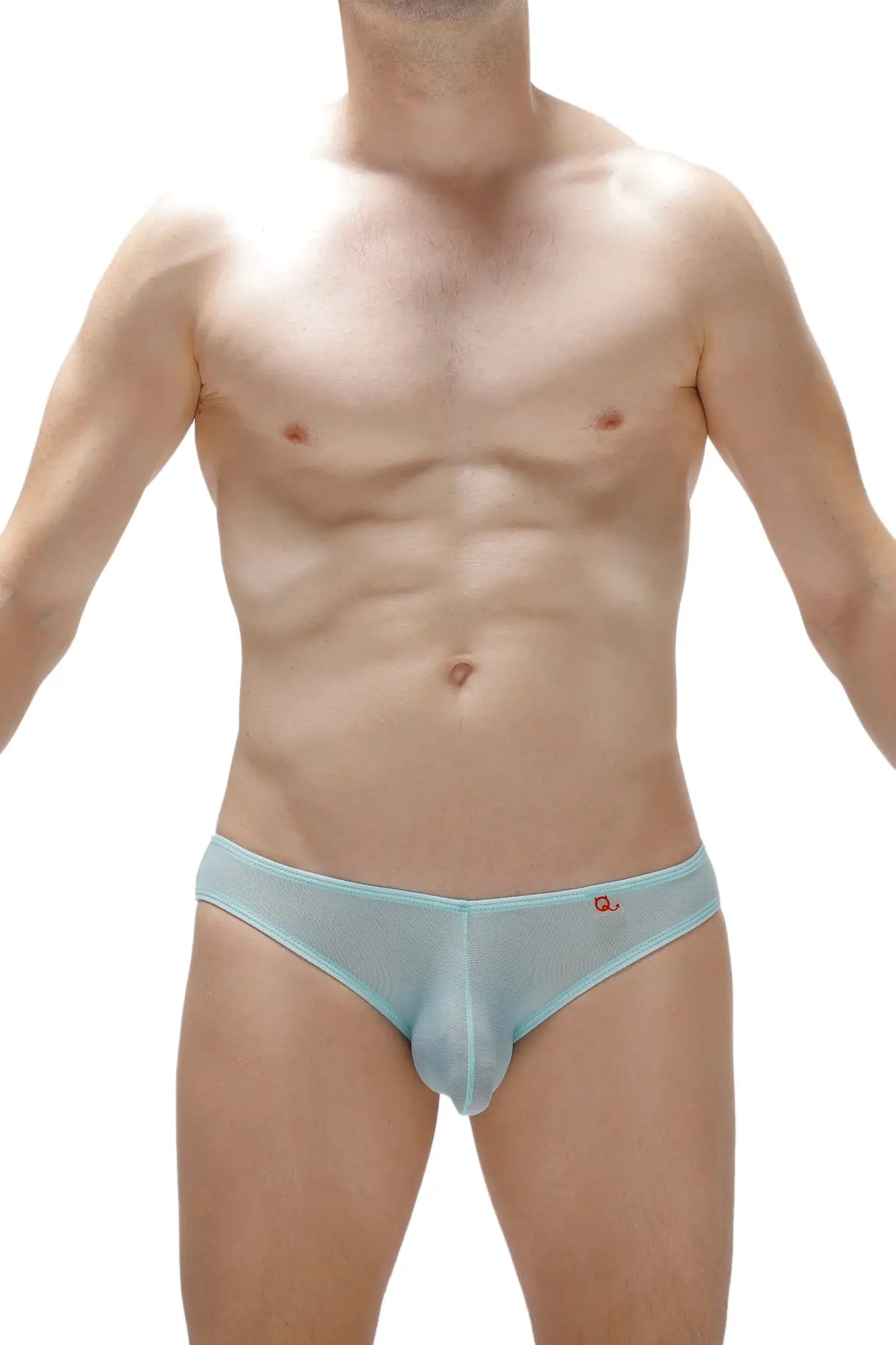 Light blue sheer mesh briefs with a small red logo on the waistband from bikini poncy net teal collection