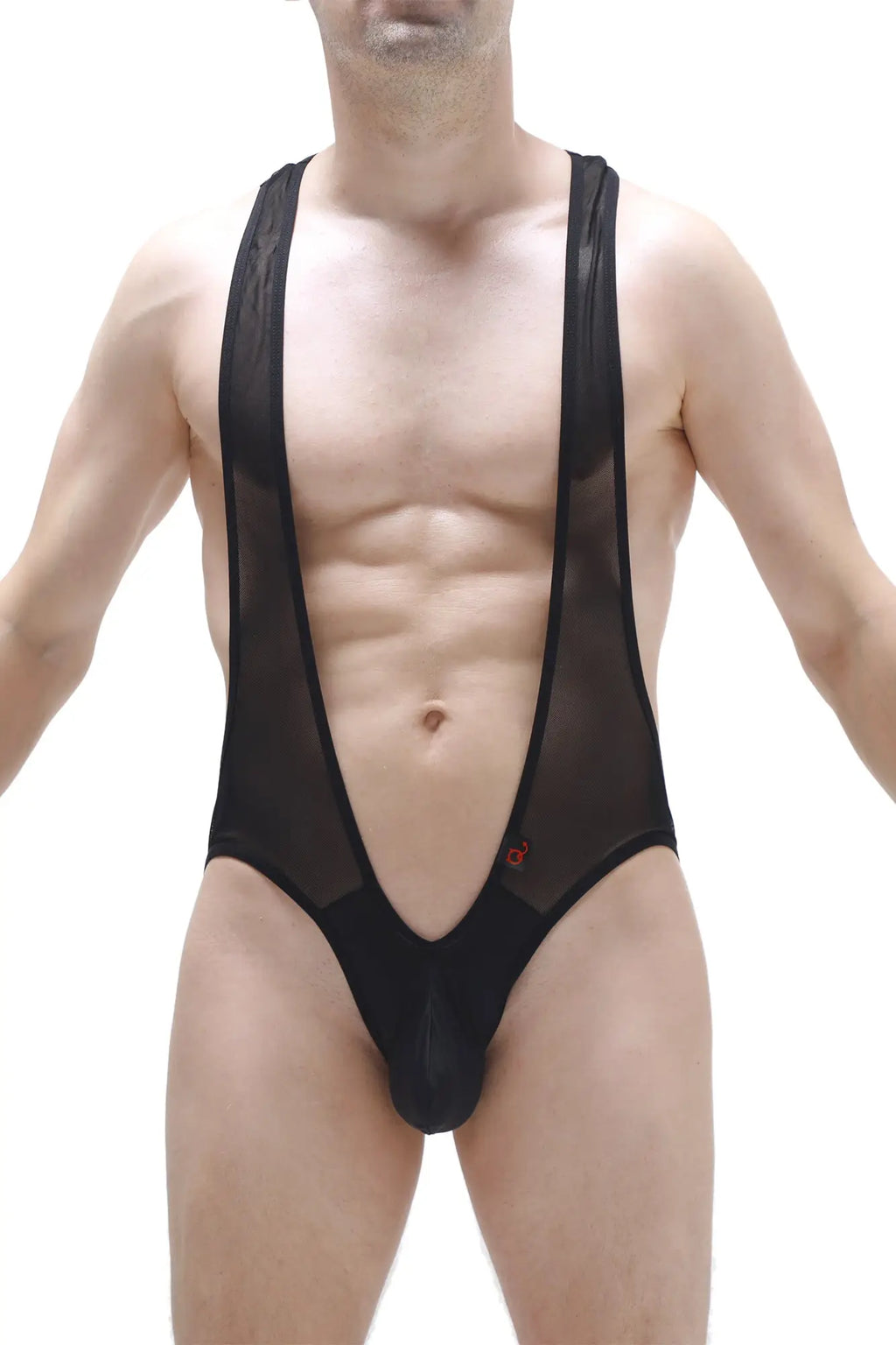 Bodysuit antry net black featuring a deep v-neckline black mesh top with solid black fabric legs