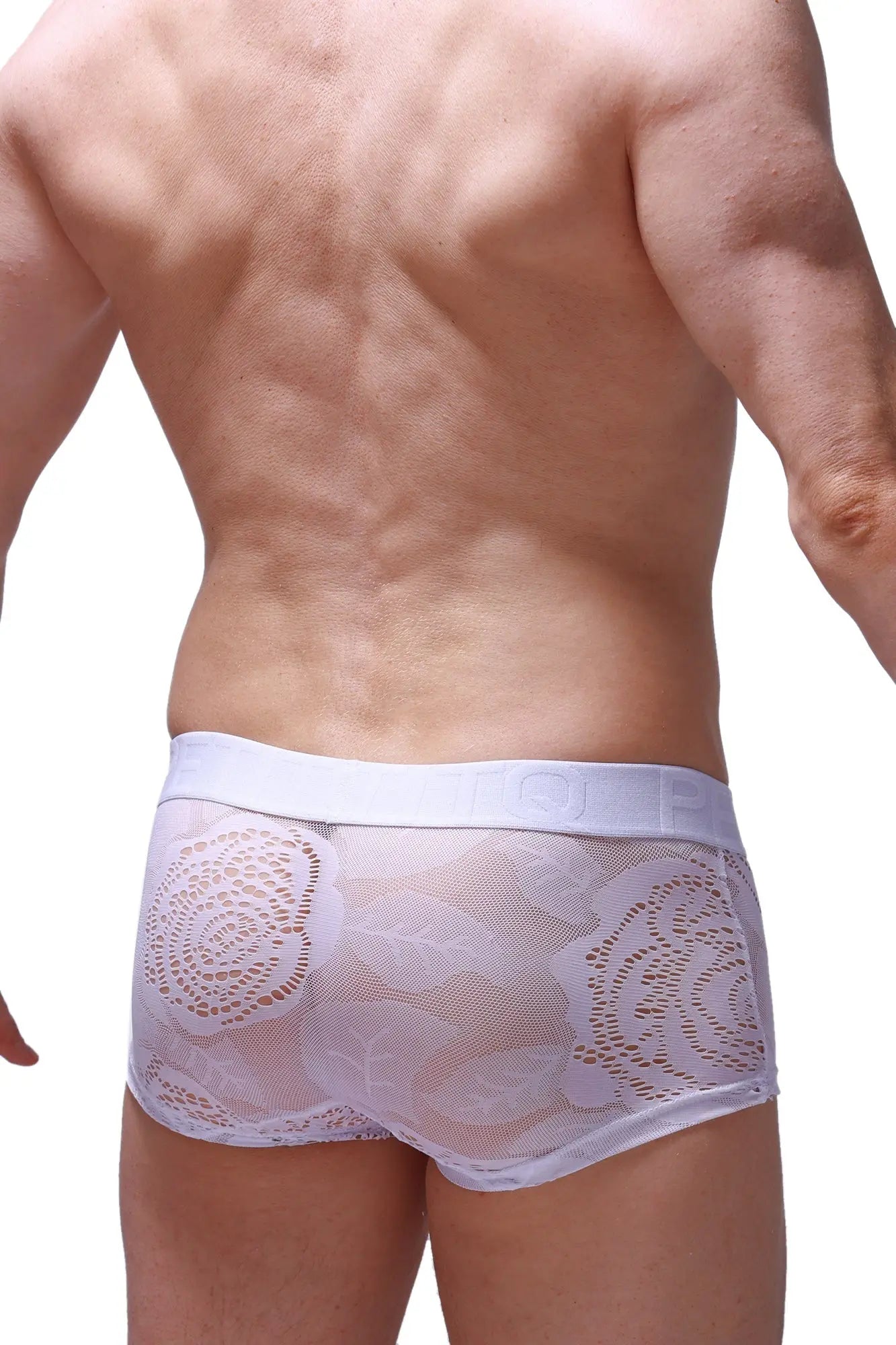 White lace-trimmed boxer brief dome coudray white with sheer mesh design and elastic waistband
