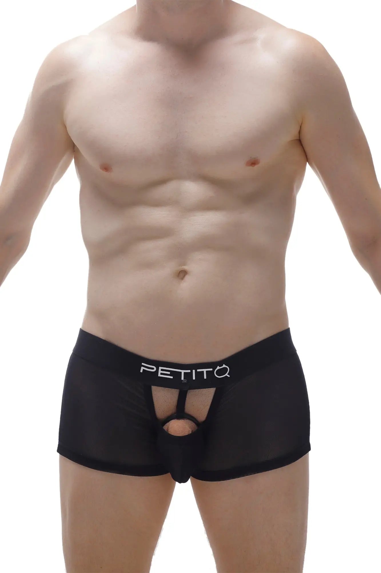 Black petitq men’s briefs with sheer mesh front and central cutout designed as detachable boxer cockring net black