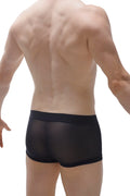 Black sheer mesh briefs with solid waistband featured in boxer cockring net black detachable design