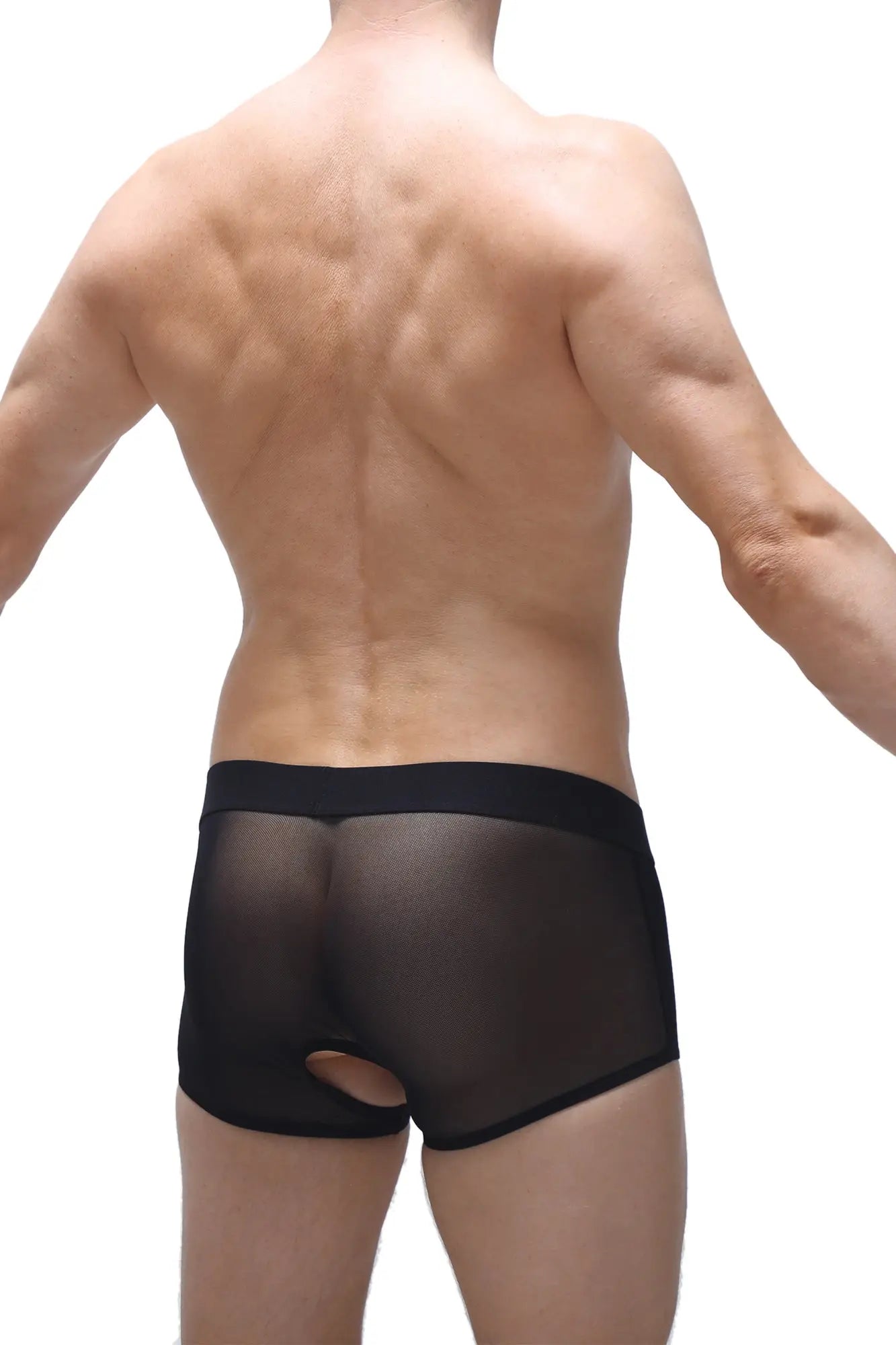 Black sheer mesh briefs boxer limay net camo with solid black waistband for breathable comfort