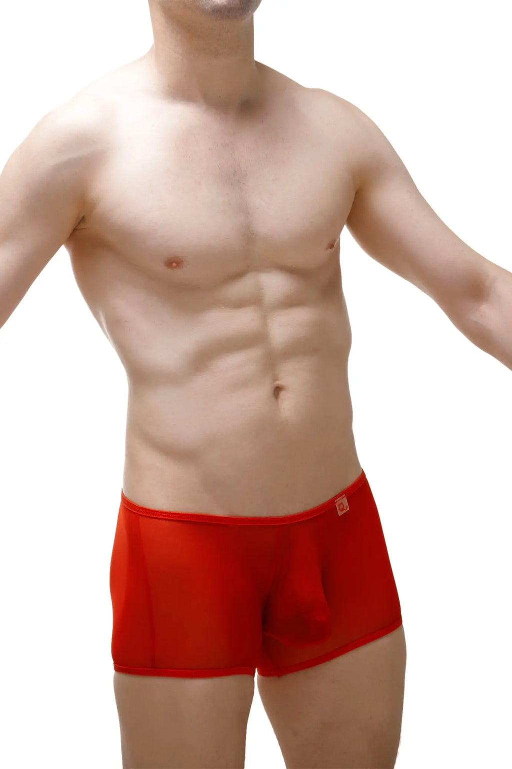 Red men’s briefs boxer ougreen net red with snug fit and elastic waistband