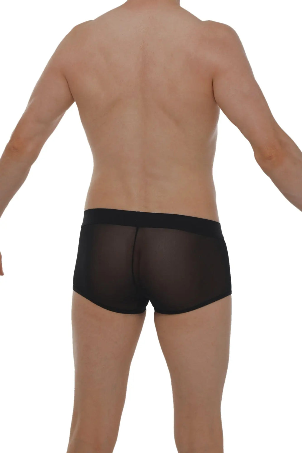 Black sheer mesh boxer petitq net briefs with solid black waistband for lightweight breathable comfort