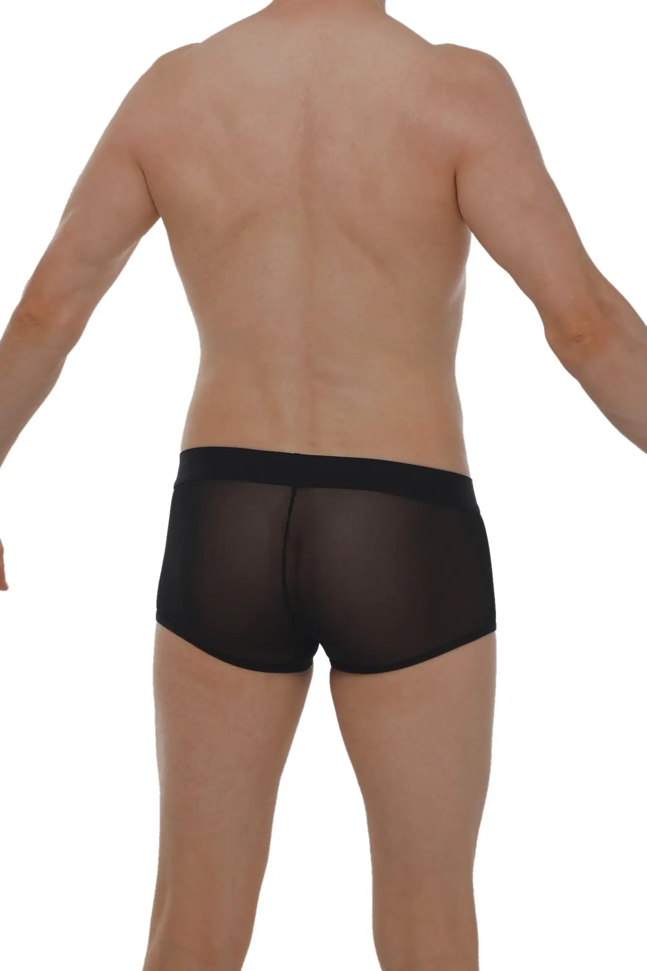 Black sheer mesh boxer petitq net briefs with solid black waistband for lightweight breathable comfort