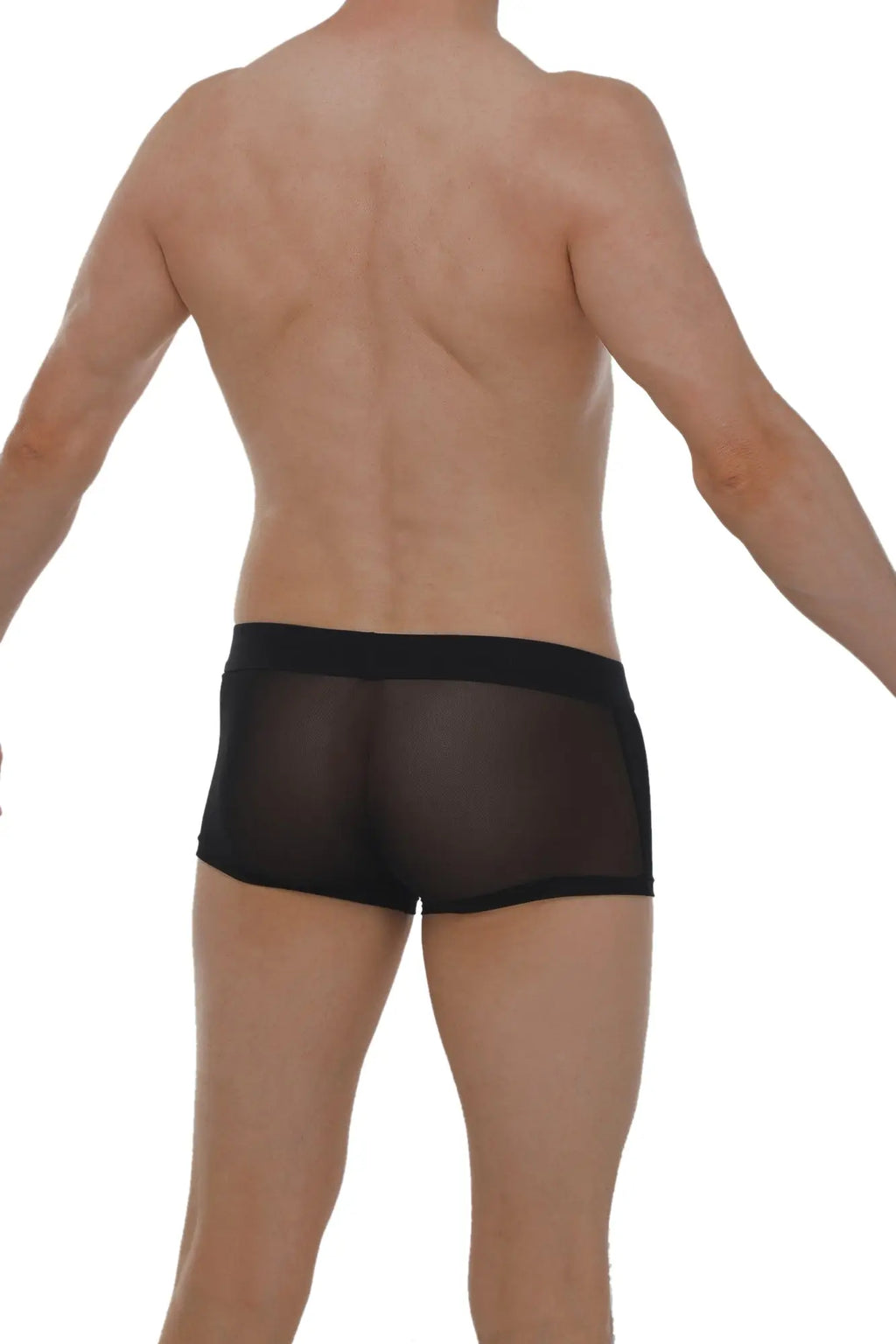 Black sheer mesh boxer petitq net briefs with a solid black waistband for lightweight breathable comfort