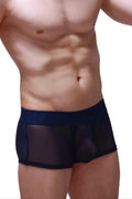 Black sheer mesh briefs boxer petitq net navy with solid navy blue waistband front view