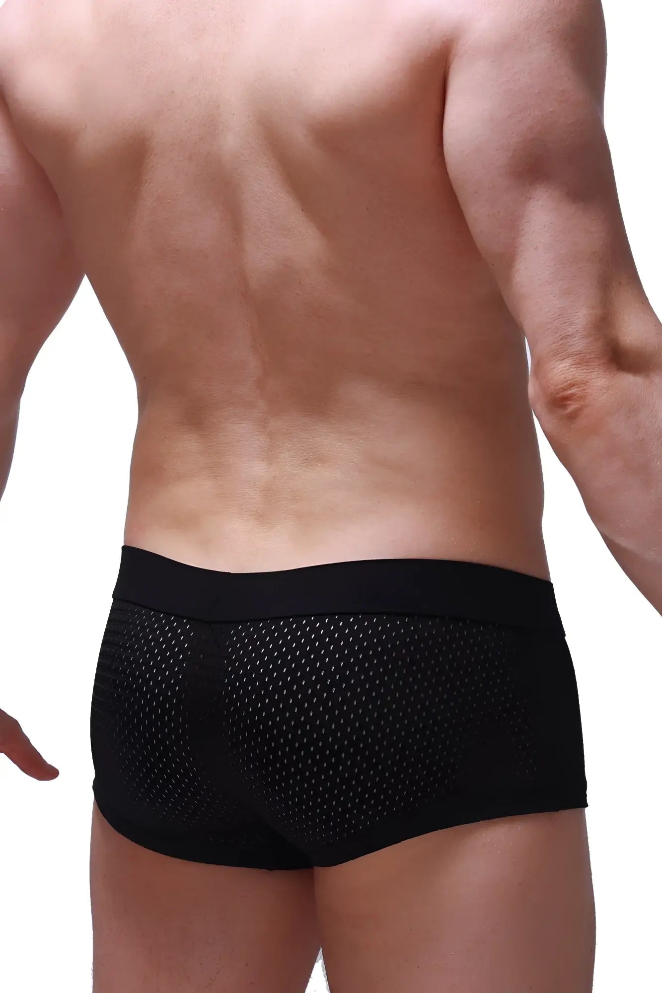 Black mesh boxer reotier bee briefs with a solid elastic waistband showing front side design