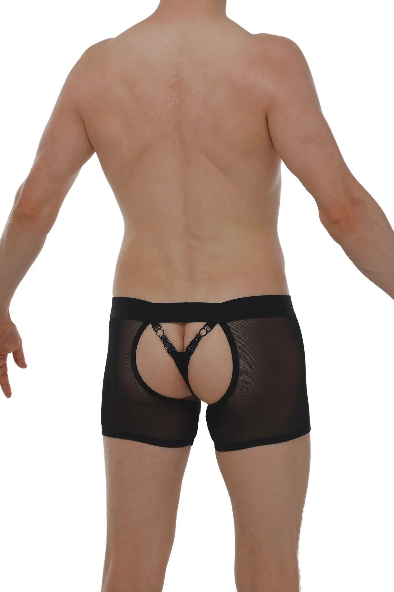 Black sheer mesh boxer string garter angy net briefs with lace-trimmed back panel and adjustable straps shown from back