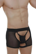 Black sheer mesh boxer string garter briefs with solid front panel and adjustable straps in black
