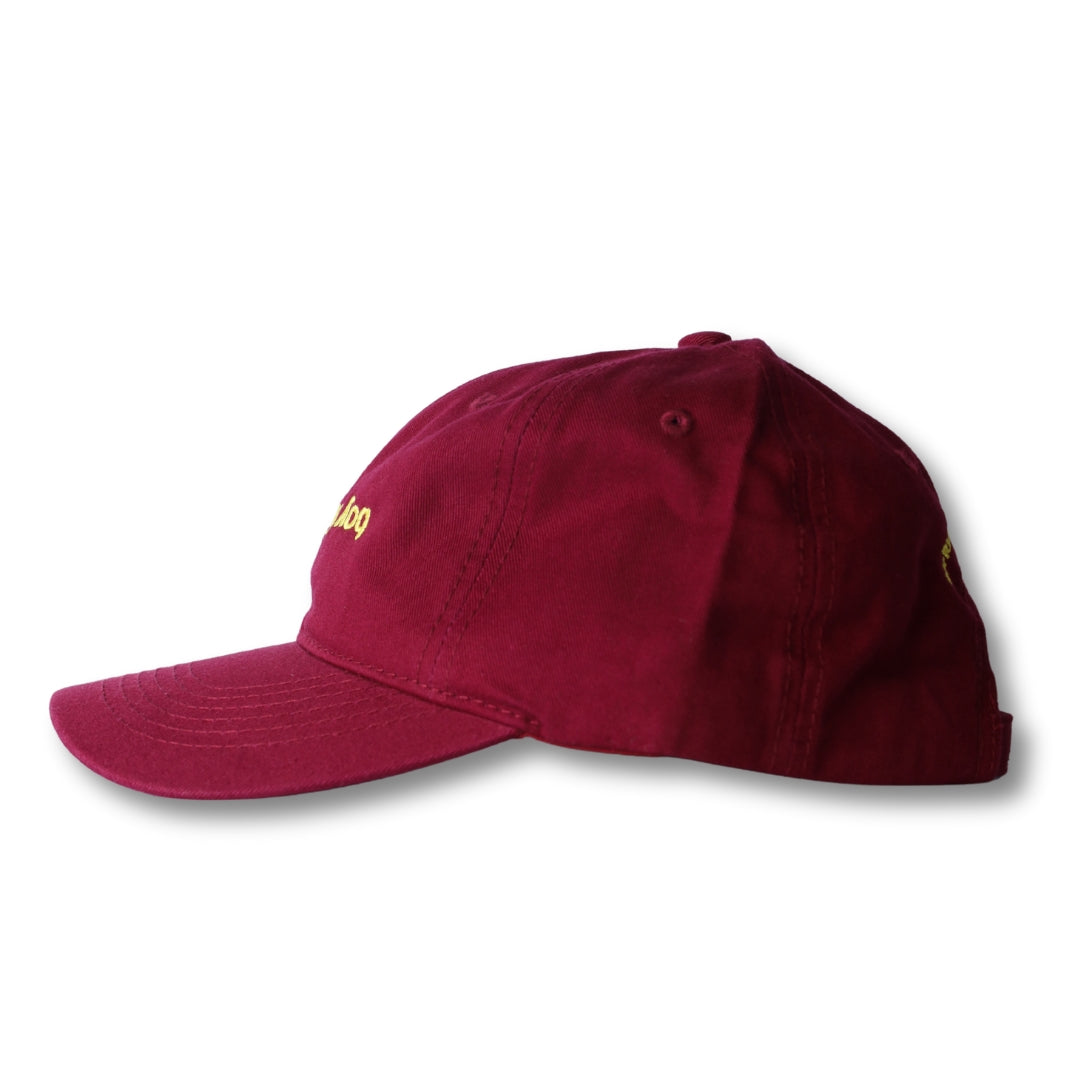 Maroon boy from rio flip dad hat with gold embroidery on front and small logo near brim in a baseball cap style