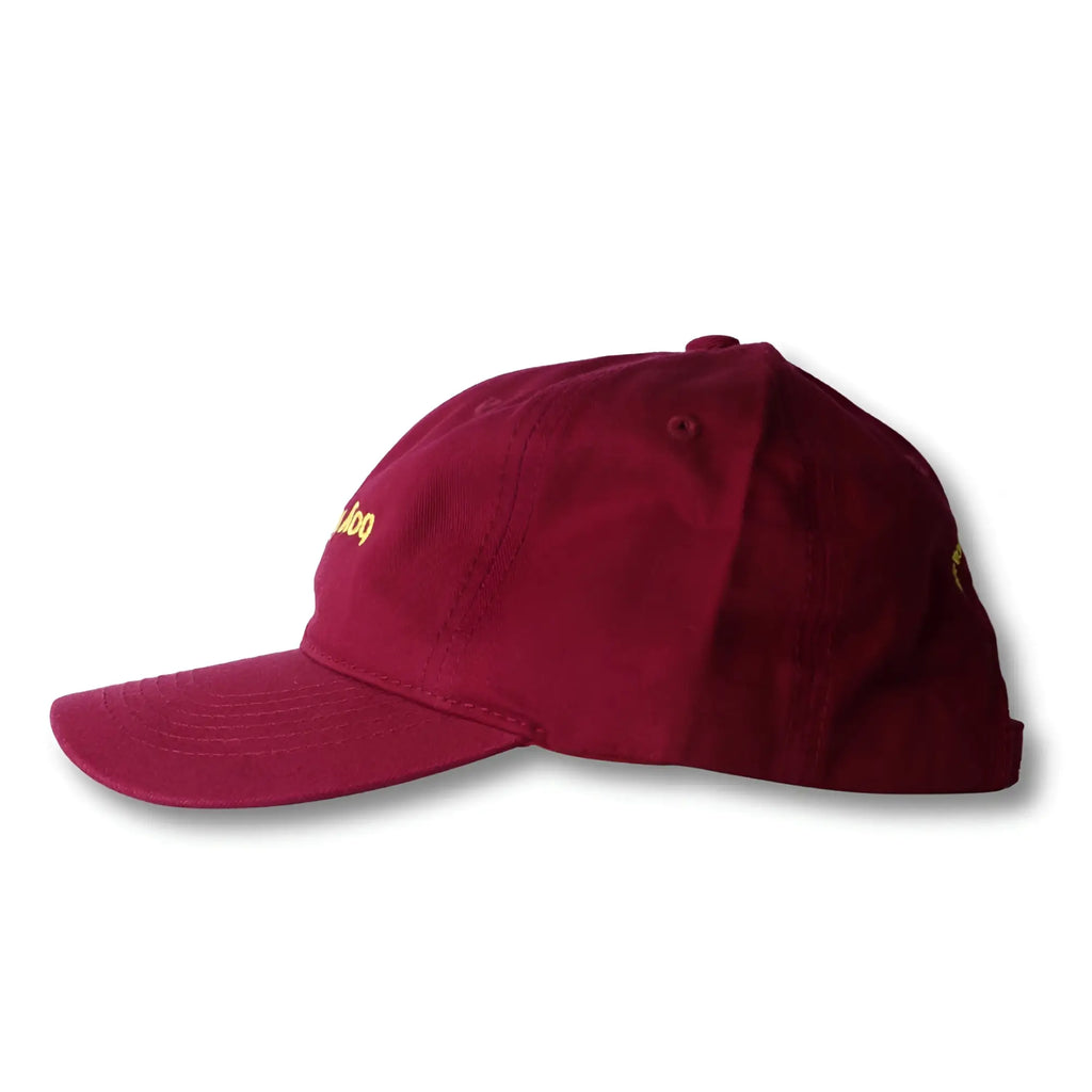 Maroon boy from rio flip dad hat with gold embroidery on front and small logo near brim in a baseball cap style