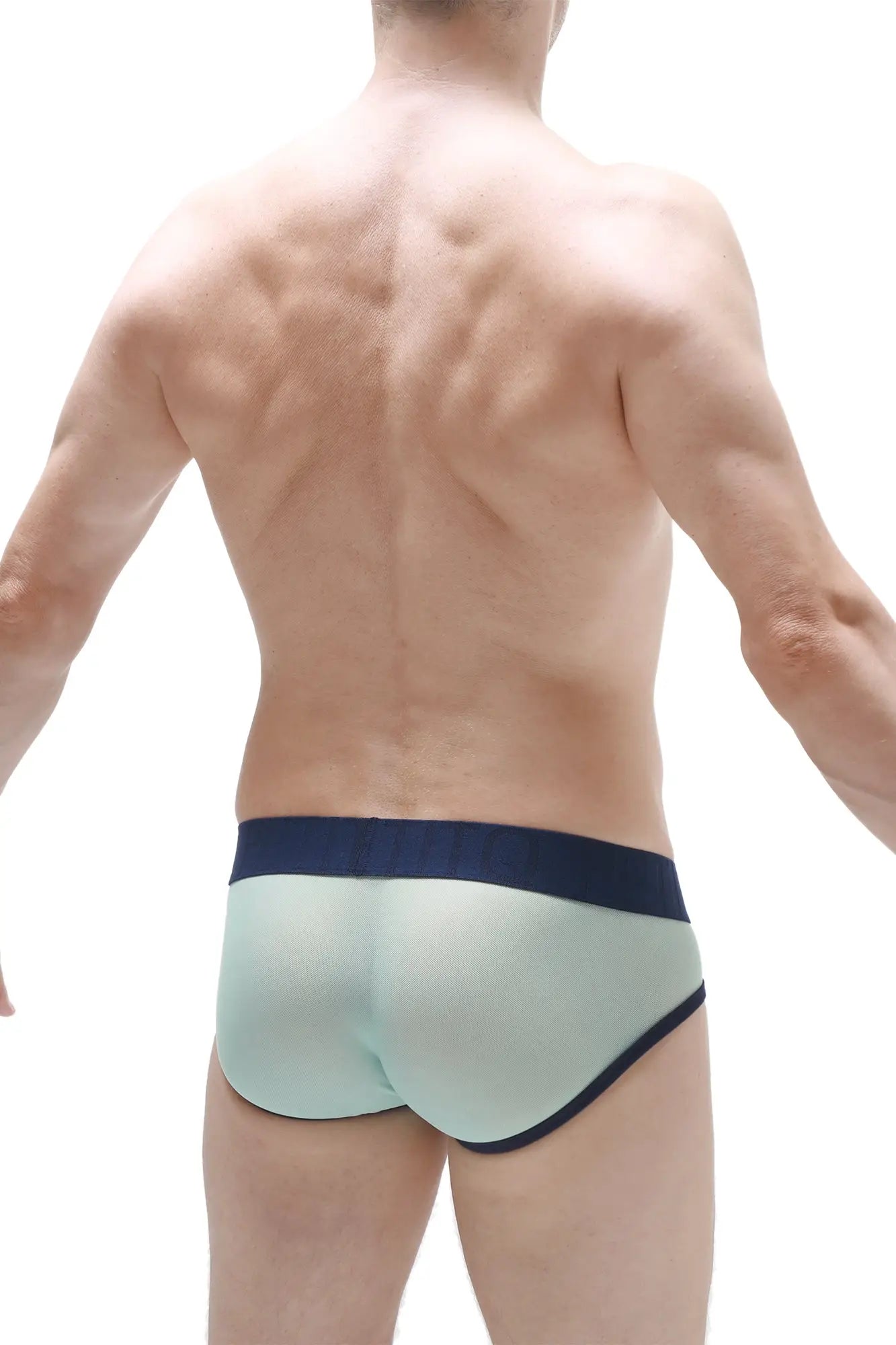 Light green translucent briefs with navy blue trim in net fabric for breathable comfort brief aurol net teal