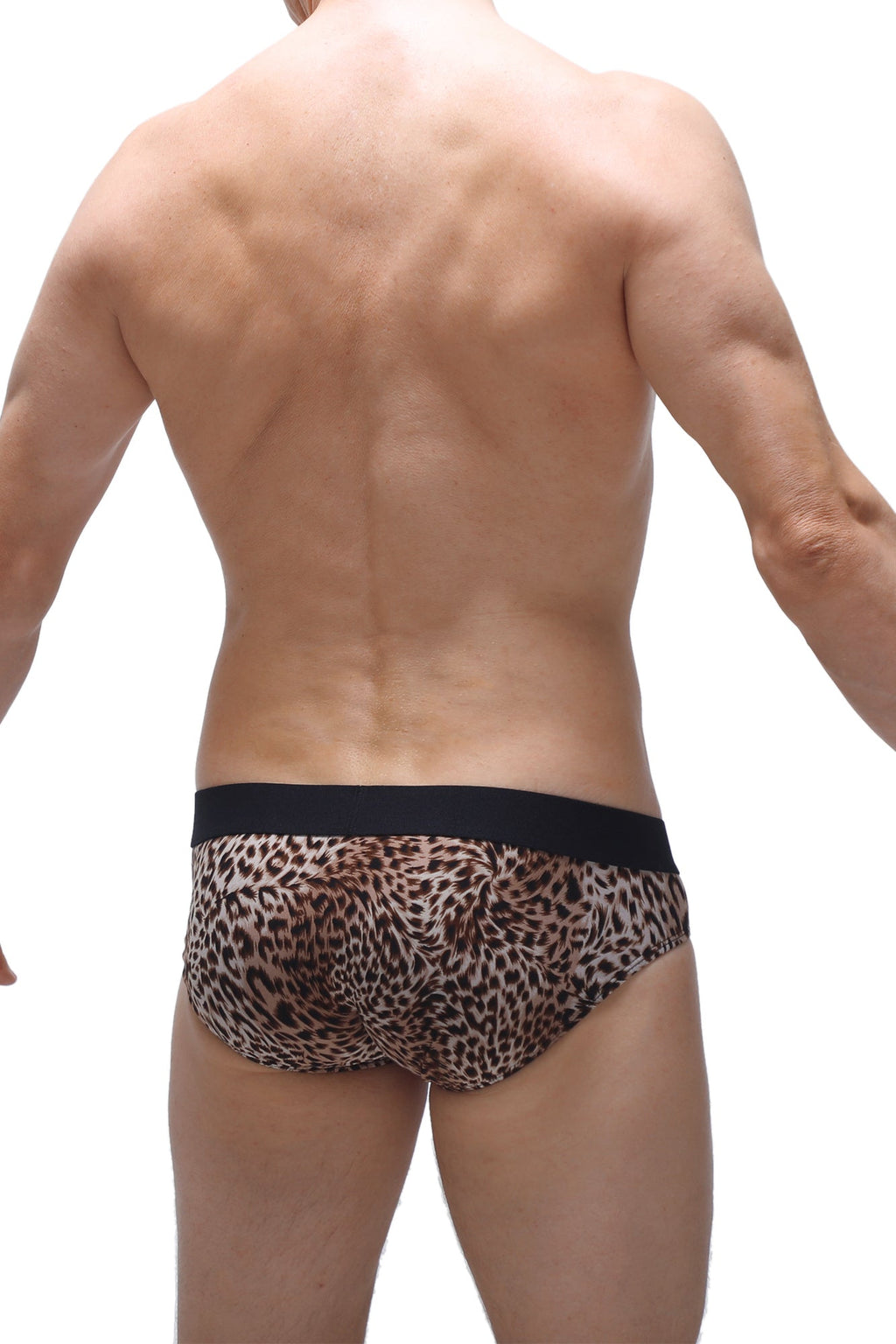 PetitQ Brief Neure Panthere