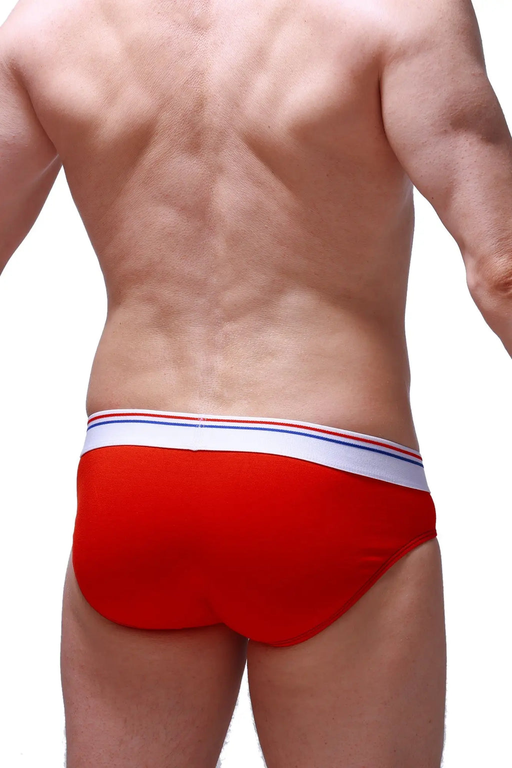 Brief linay modal red red briefs with white waistband and thin blue and red stripes made of modal fabric