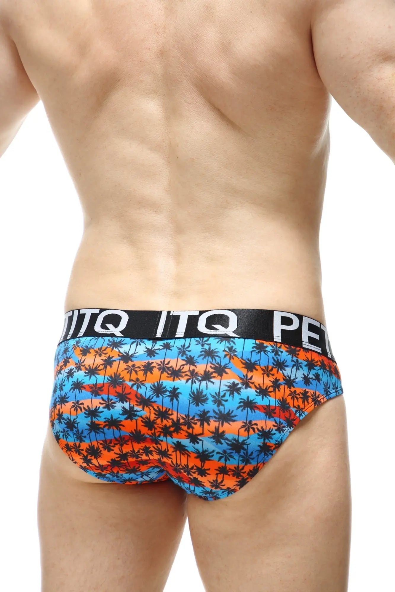 Brief protruder temae swim trunks with vibrant blue and orange stripes and black palm tree pattern featuring itq logo band
