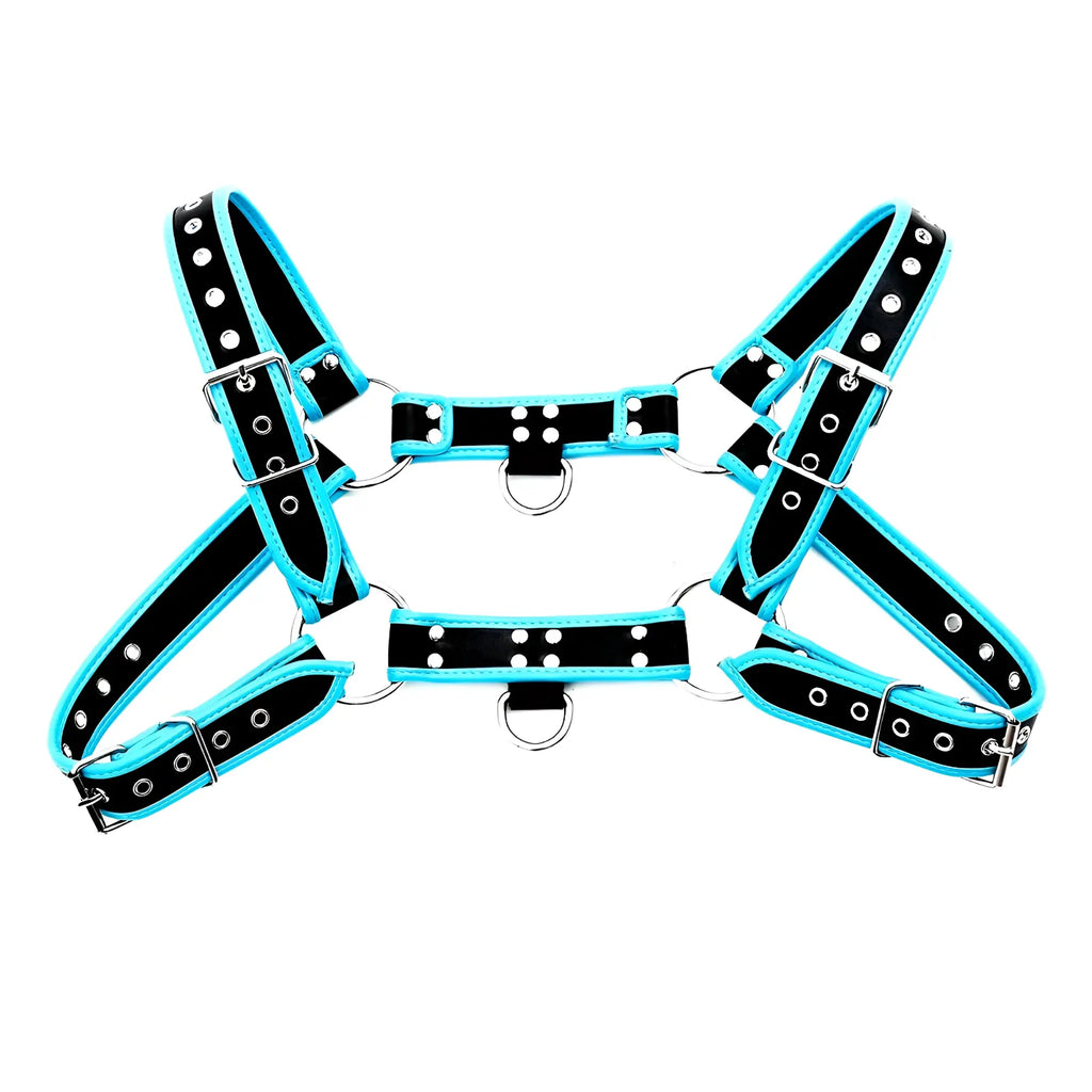 Black and turquoise leather bulldog harness with piping and silver toned metal hardware shown from back side