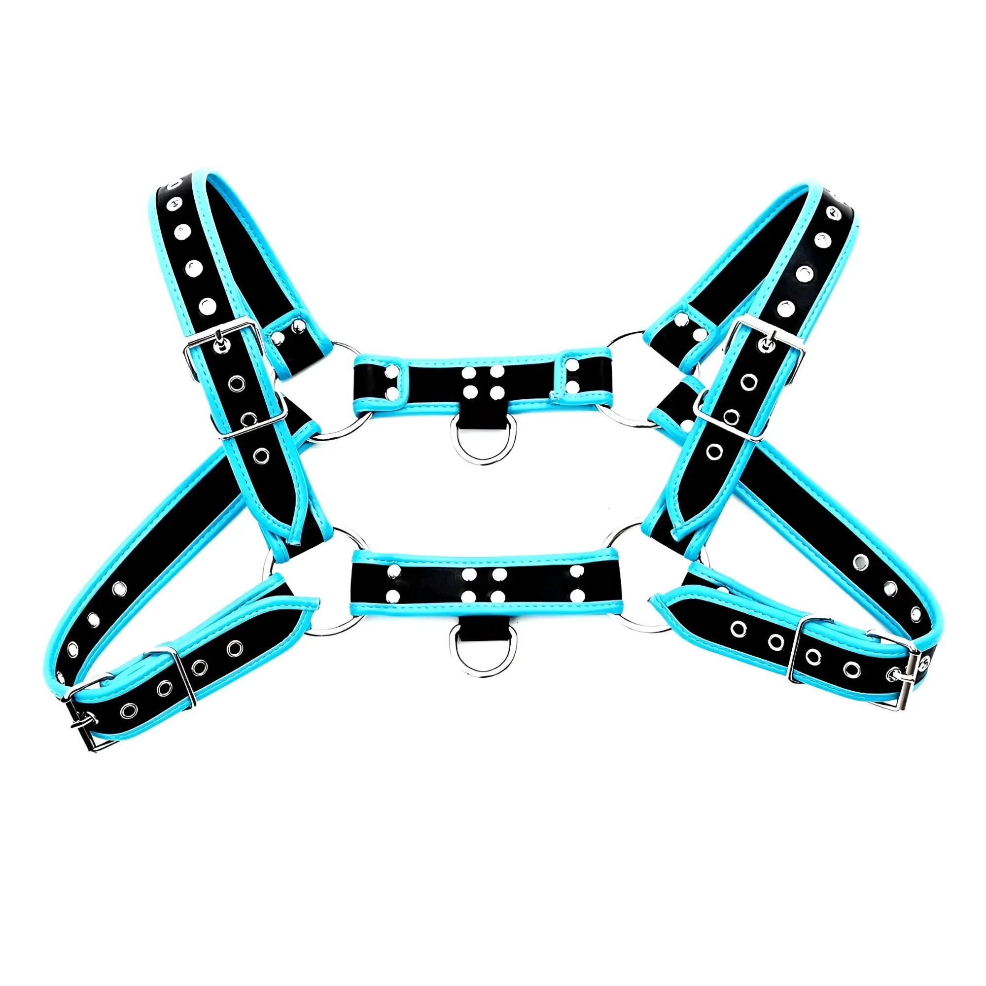 Black and turquoise leather bulldog harness with piping and silver toned metal hardware shown from back side