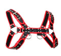 Red and black leather bulldog harness with piping and silver-toned metal hardware for secure dog walking
