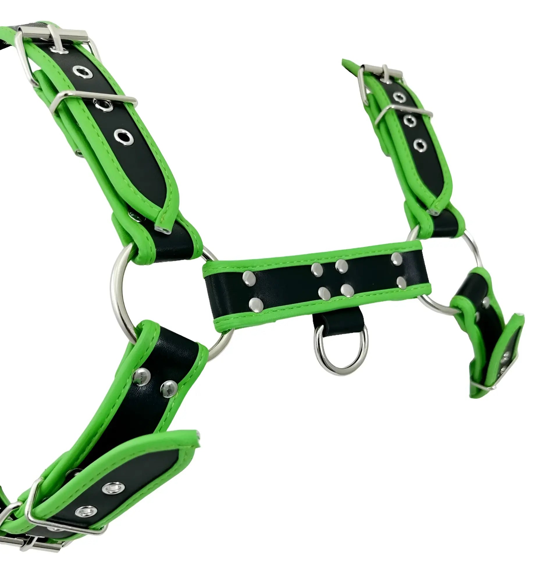 Bulldog harness with piping in vibrant green and black leather with silver toned metal hardware