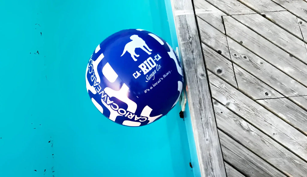 Blue and white inflatable ca-rio-ca beach ball 24 inches with dog silhouette logo for pool and beach use