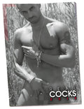 Black and white magazine cover of a muscular tattooed man wearing silver chain necklace and bracelet calendar 2019 pin up real cocks