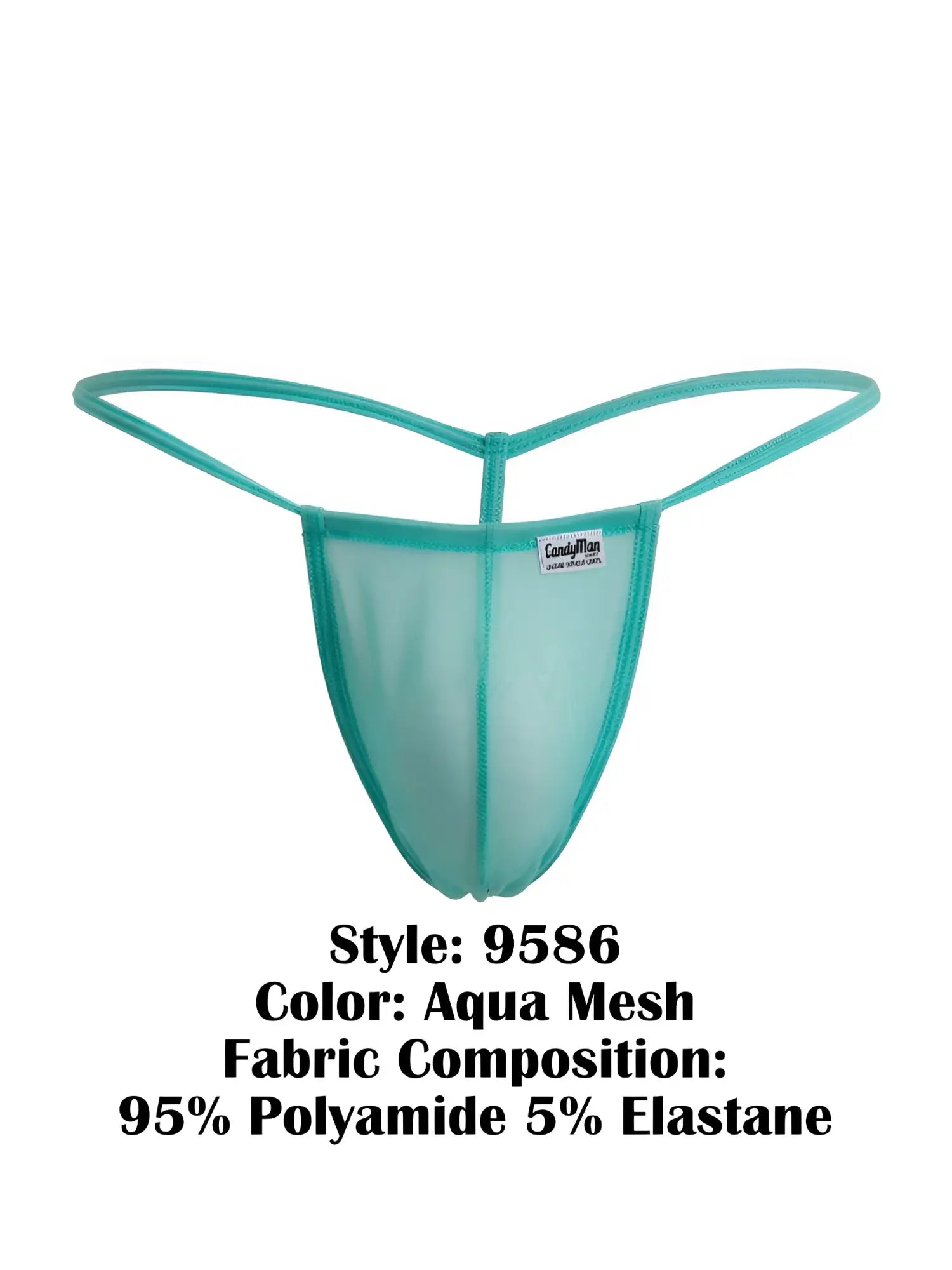 CandyMan 9586 g-string aqua mesh thong in sheer translucent teal with thin elastic straps and snug fit back view