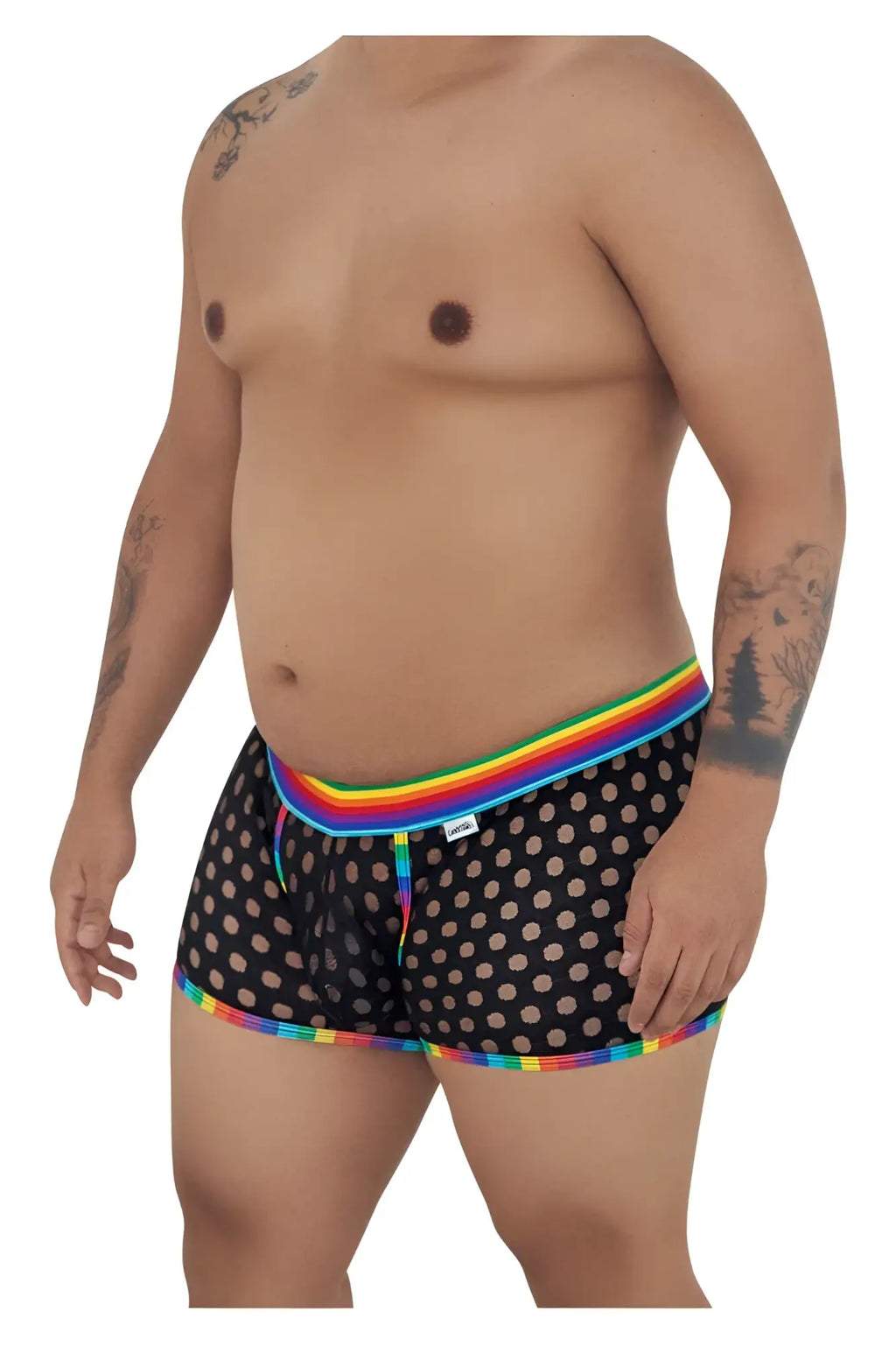 CandyMan 99511X black polka mesh briefs with rainbow trim and white brand tag in front view