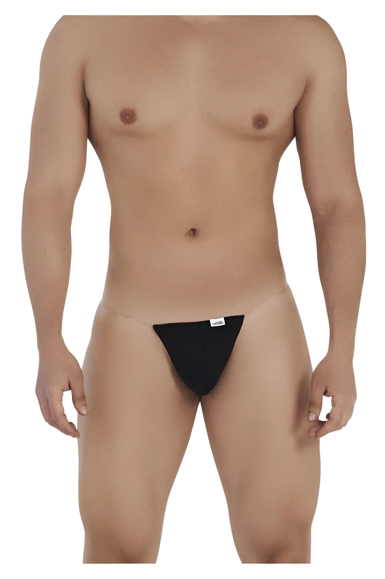 Black sheer mesh briefs with a small white label front candyMan 99548 invisible micro thongs in black