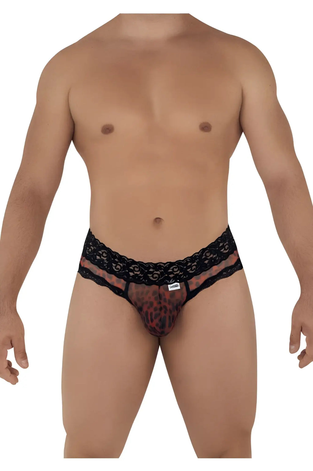 Black lace-trimmed men’s briefs with sheer leopard print mesh front from CandyMan 99596 Mesh-Lace Thongs