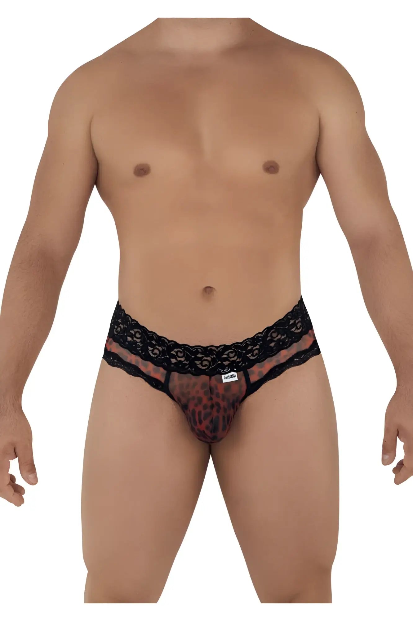 Black lace-trimmed men’s briefs with sheer leopard print mesh front from CandyMan 99596 Mesh-Lace Thongs