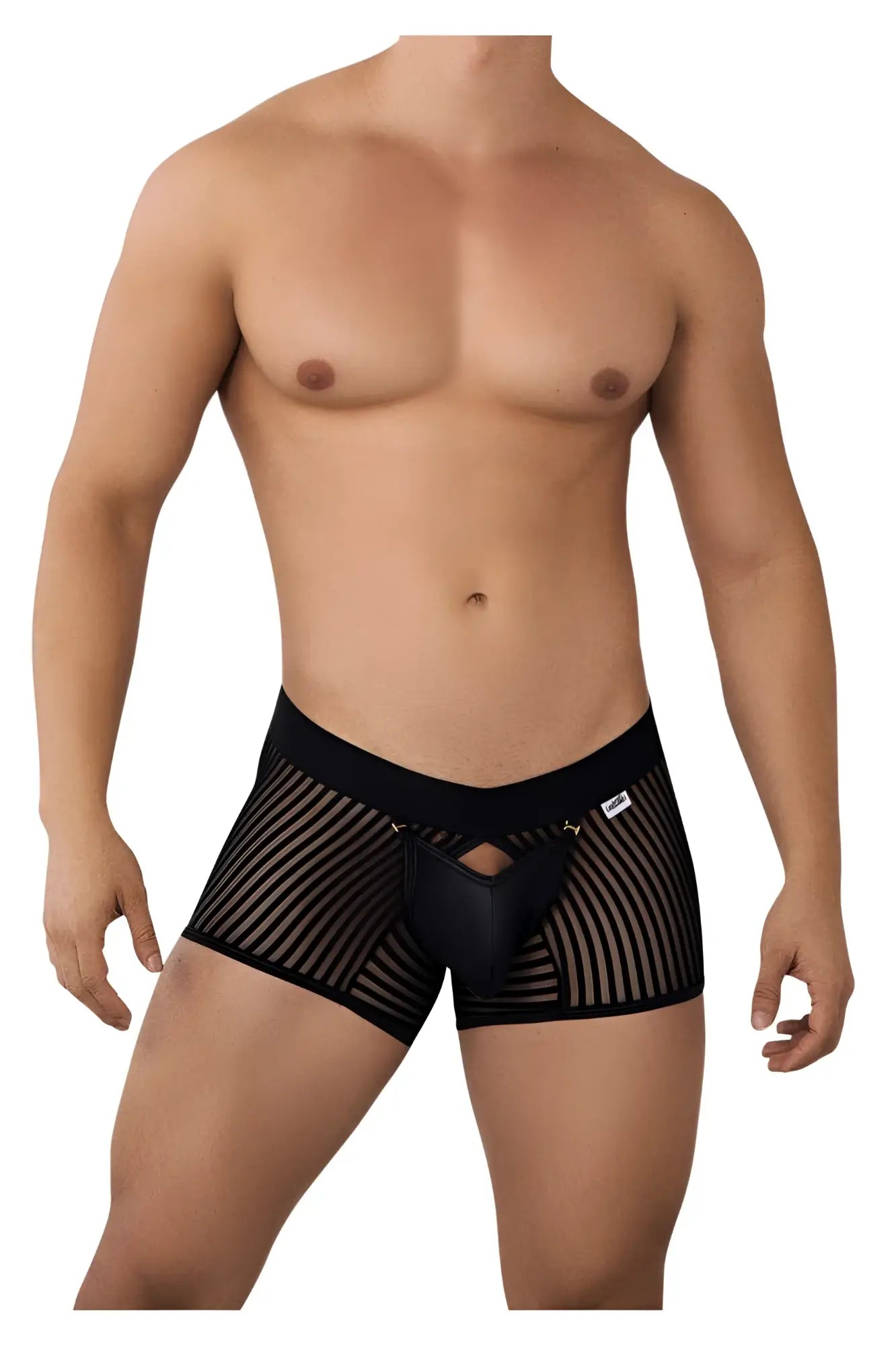 CandyMan 99636 mesh trunks in black feature a solid front panel with a striped mesh pattern on the briefs