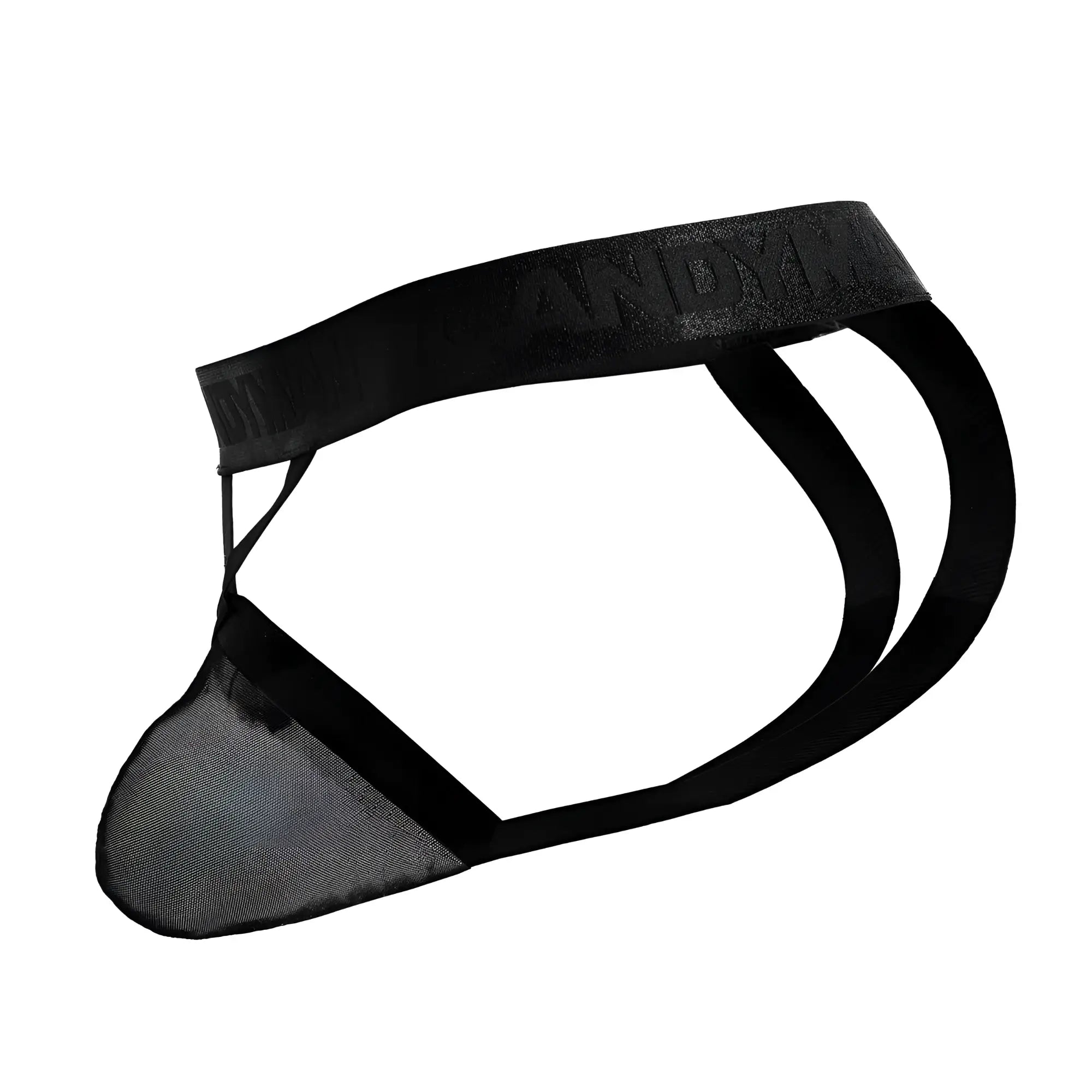 Black mesh thong with solid elastic waistband embossed with andy branding from candyman 99847 collection