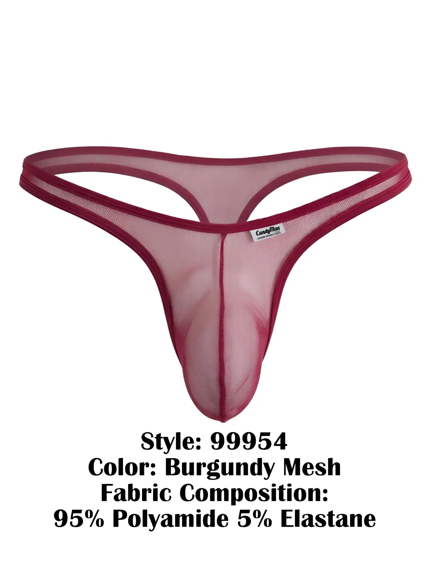 Burgundy mesh thong with a contoured pouch and slim waistband, isolated against a white background.