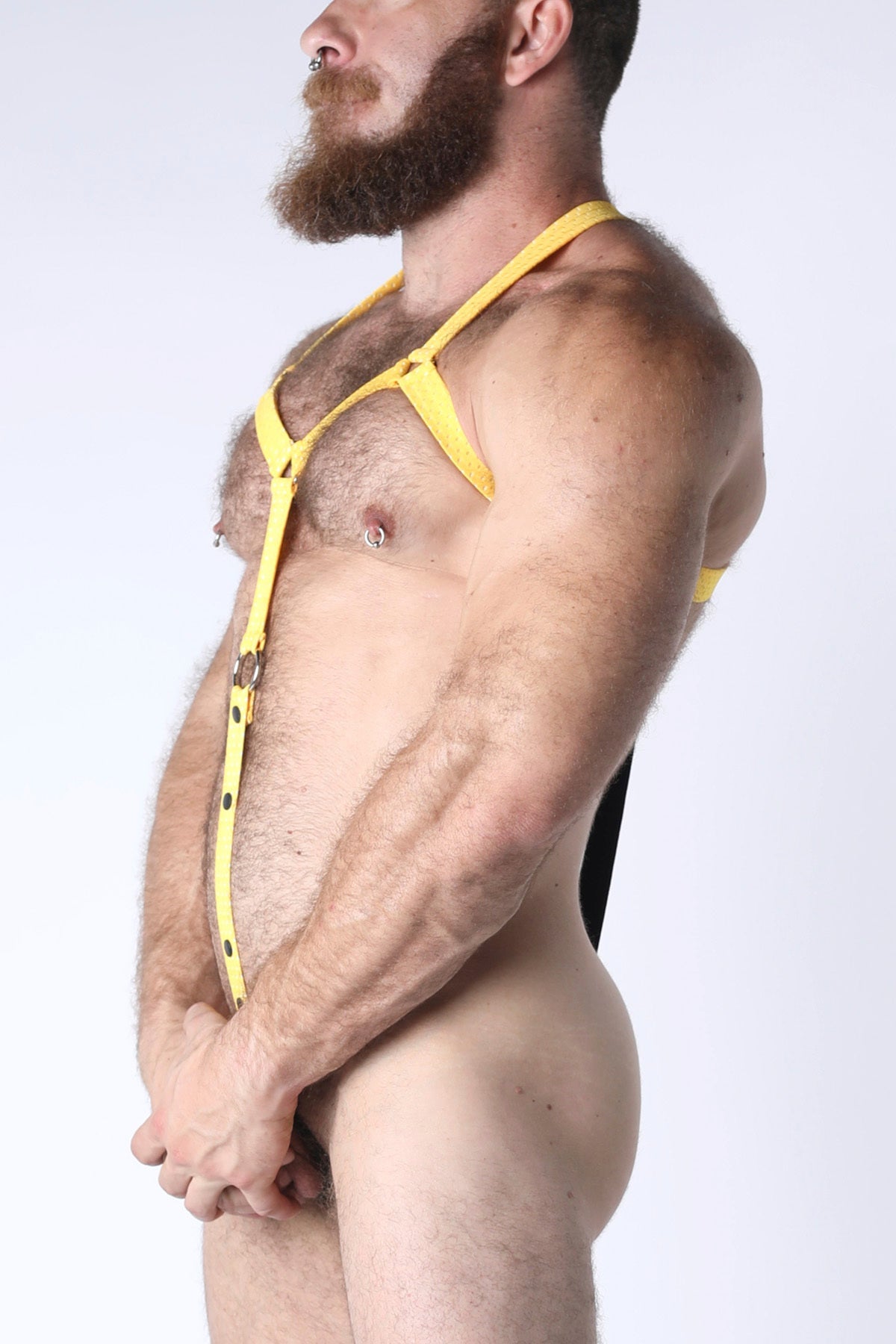 Starter Elastic Body Harness