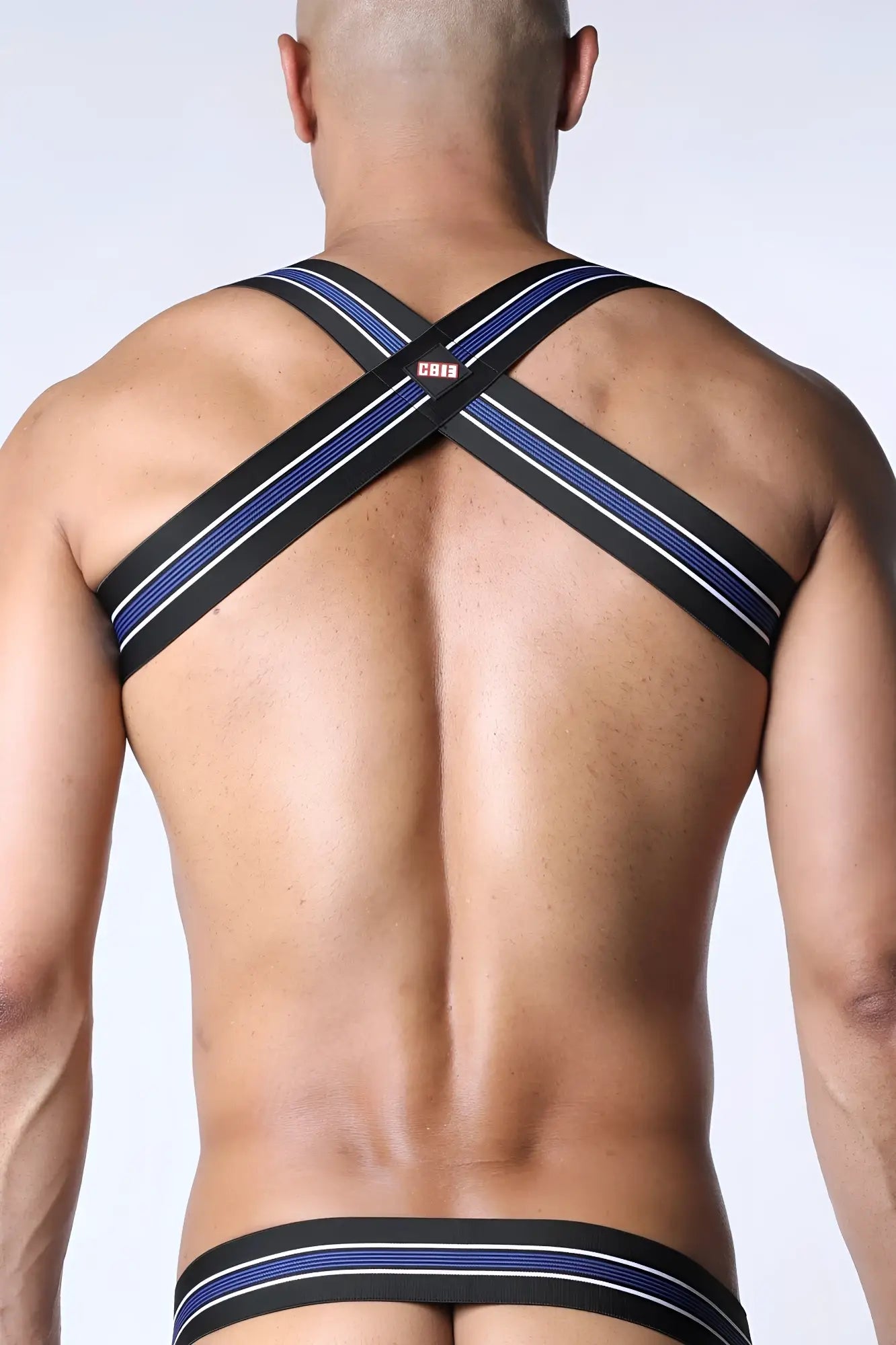 Tight end elastic harness with black and blue stripes white trim and a small red cb12 logo at the center