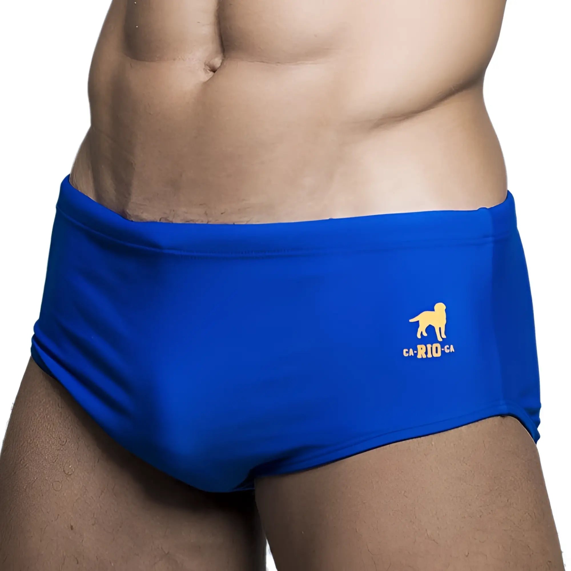 Classic cut solids sunga male bathing suit in bright blue with yellow dog logo and ca-rio-ca text on the front