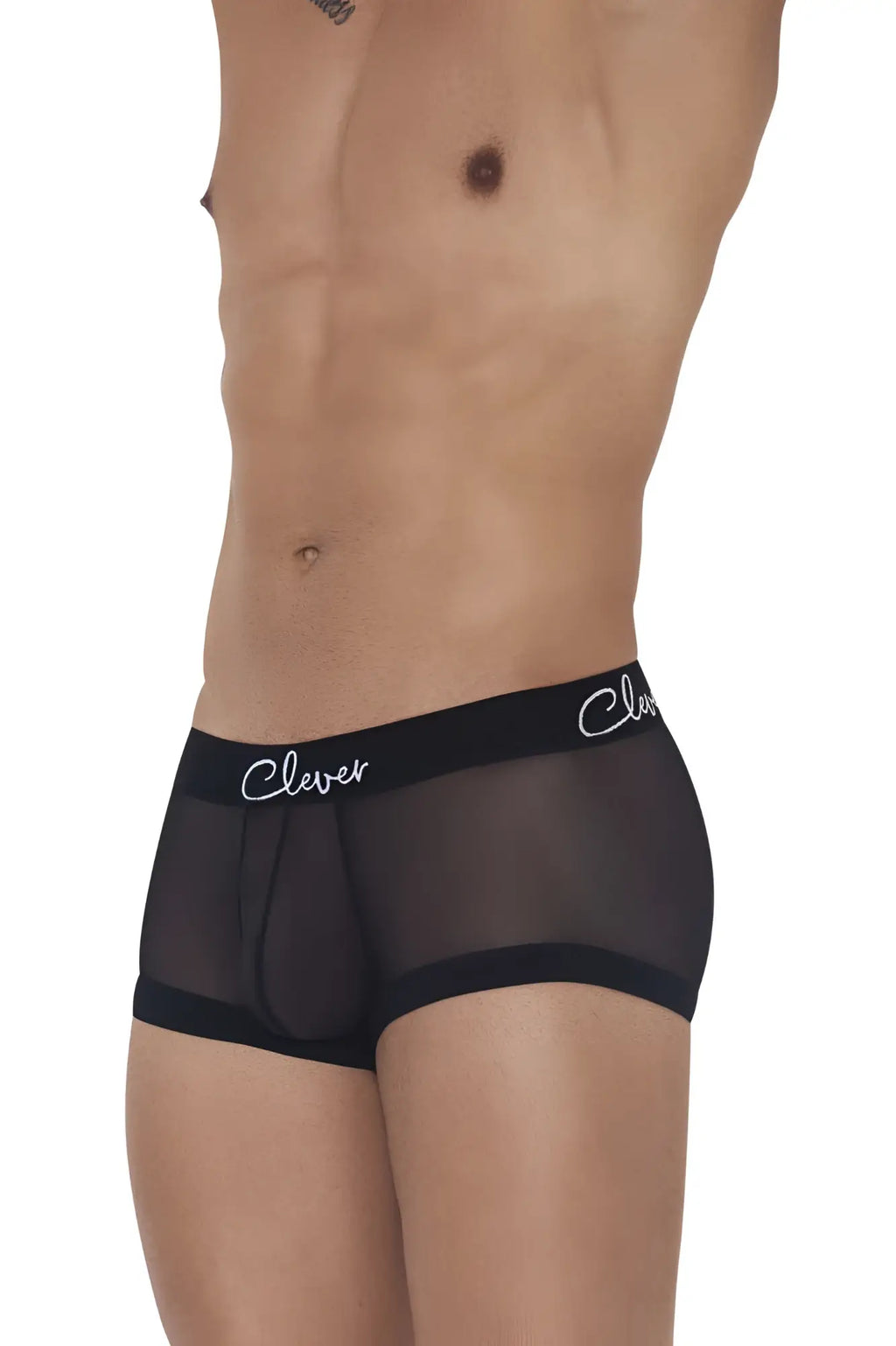 Black sheer boxer briefs with solid black waistband featuring clever in white cursive from clever 1226 demon trunks