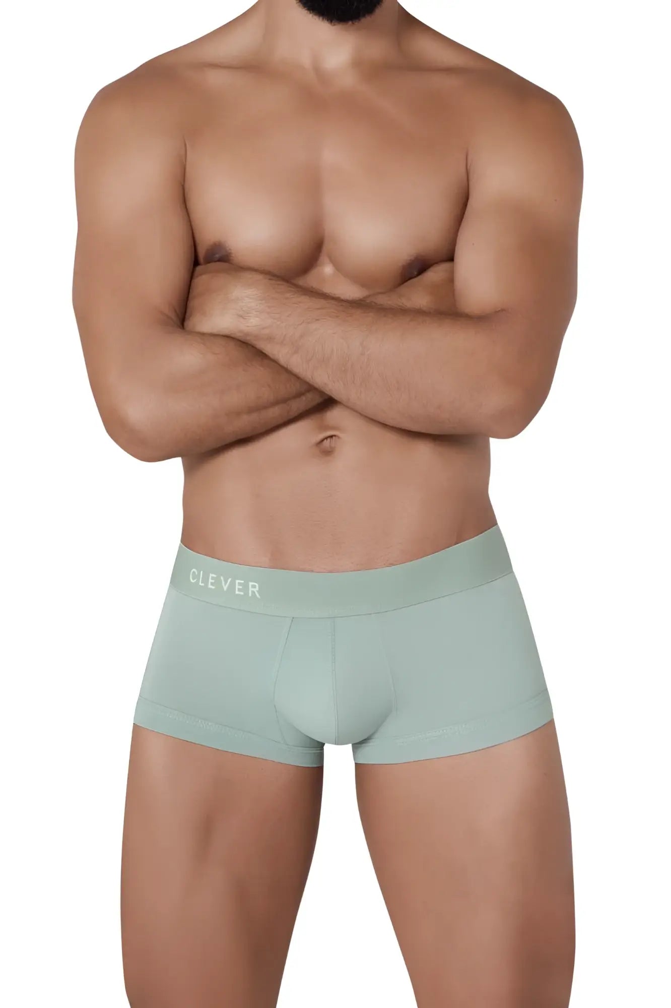 Mint green cotton briefs with a subtle clever logo on the waistband from clever 1306 tribe trunks collection