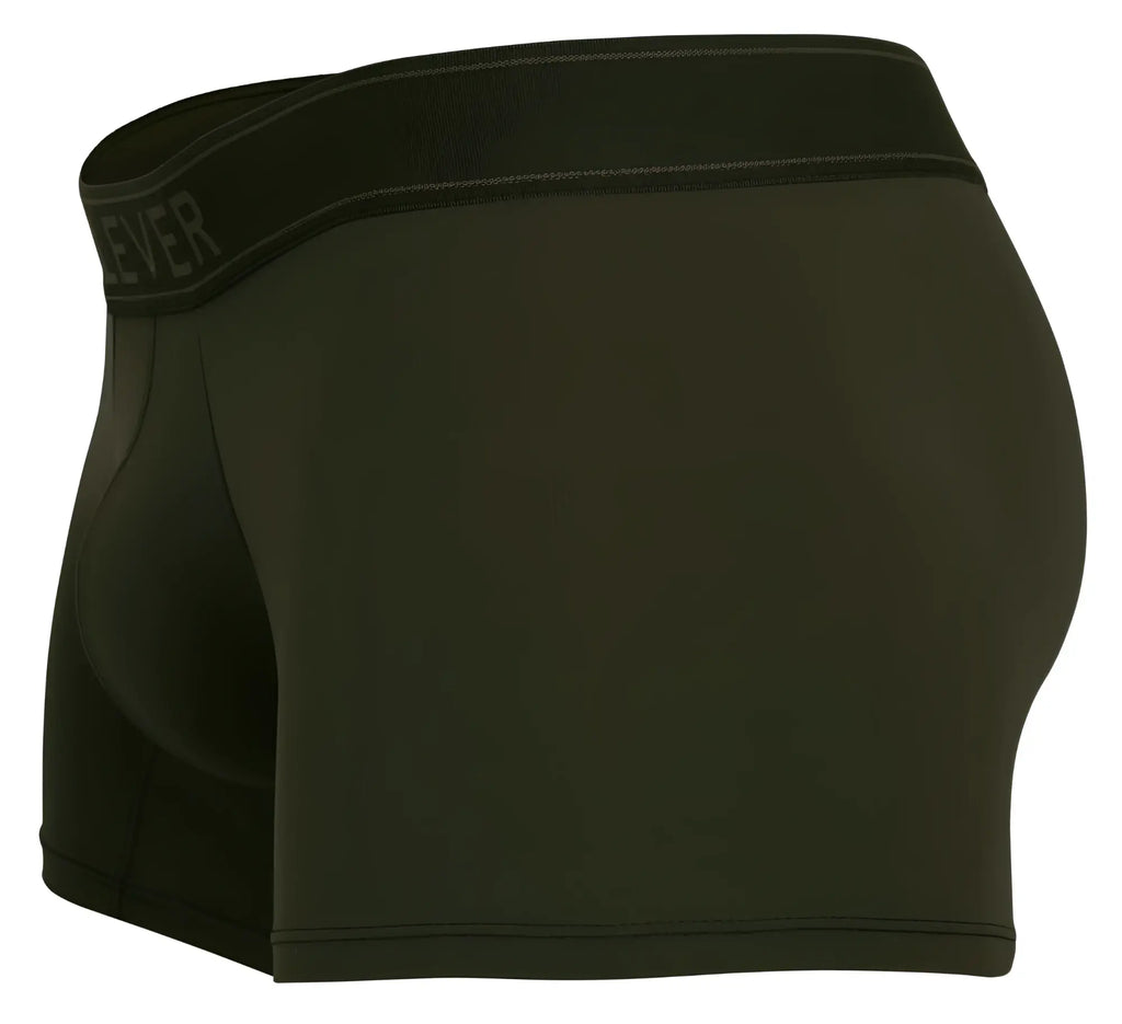 Black everlane boxer briefs with smooth form-fitting fabric and subtle waistband branding in clever 1668 britanica trunks green