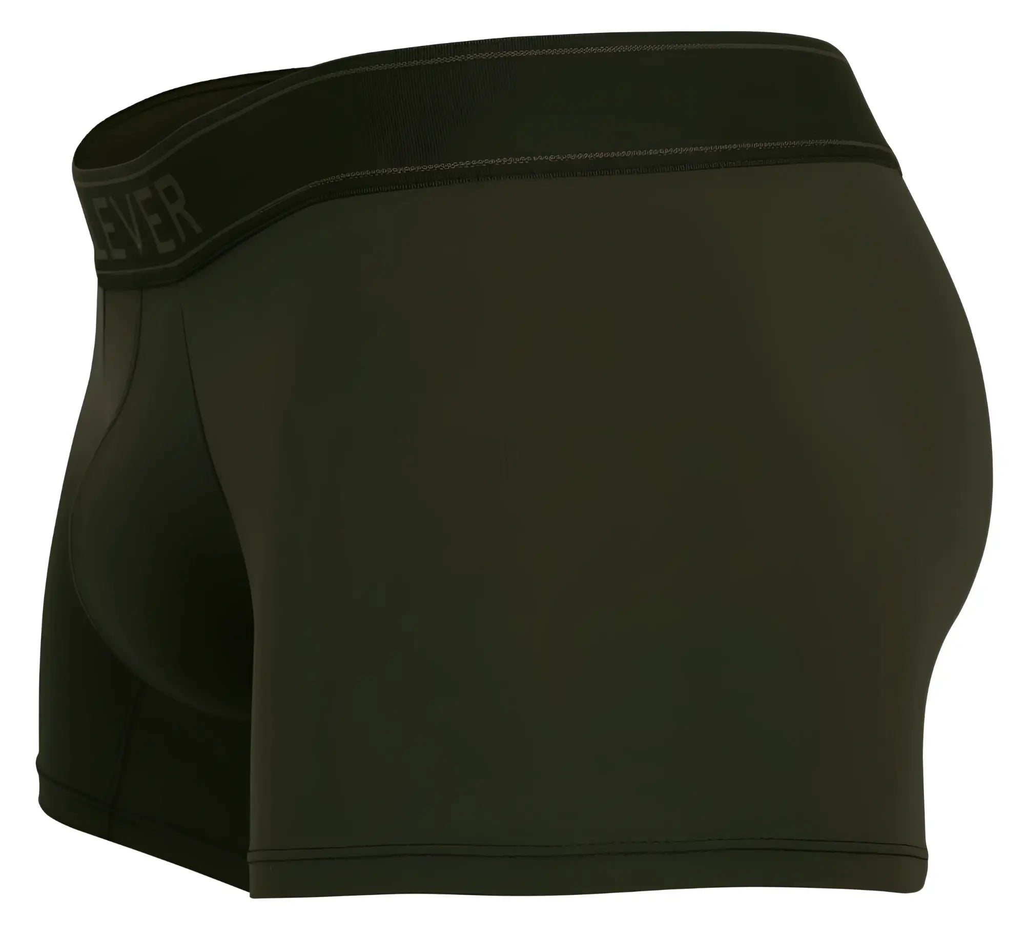 Black everlane boxer briefs with smooth form-fitting fabric and subtle waistband branding in clever 1668 britanica trunks green