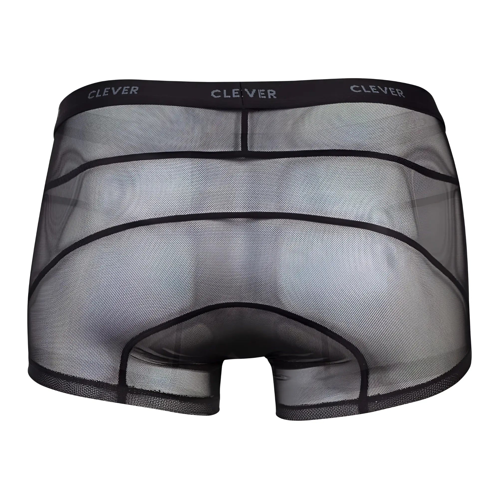 Black sheer mesh boxer briefs with reinforced black elastic waistband featuring clever branding in clever 1673 legend trunks color black