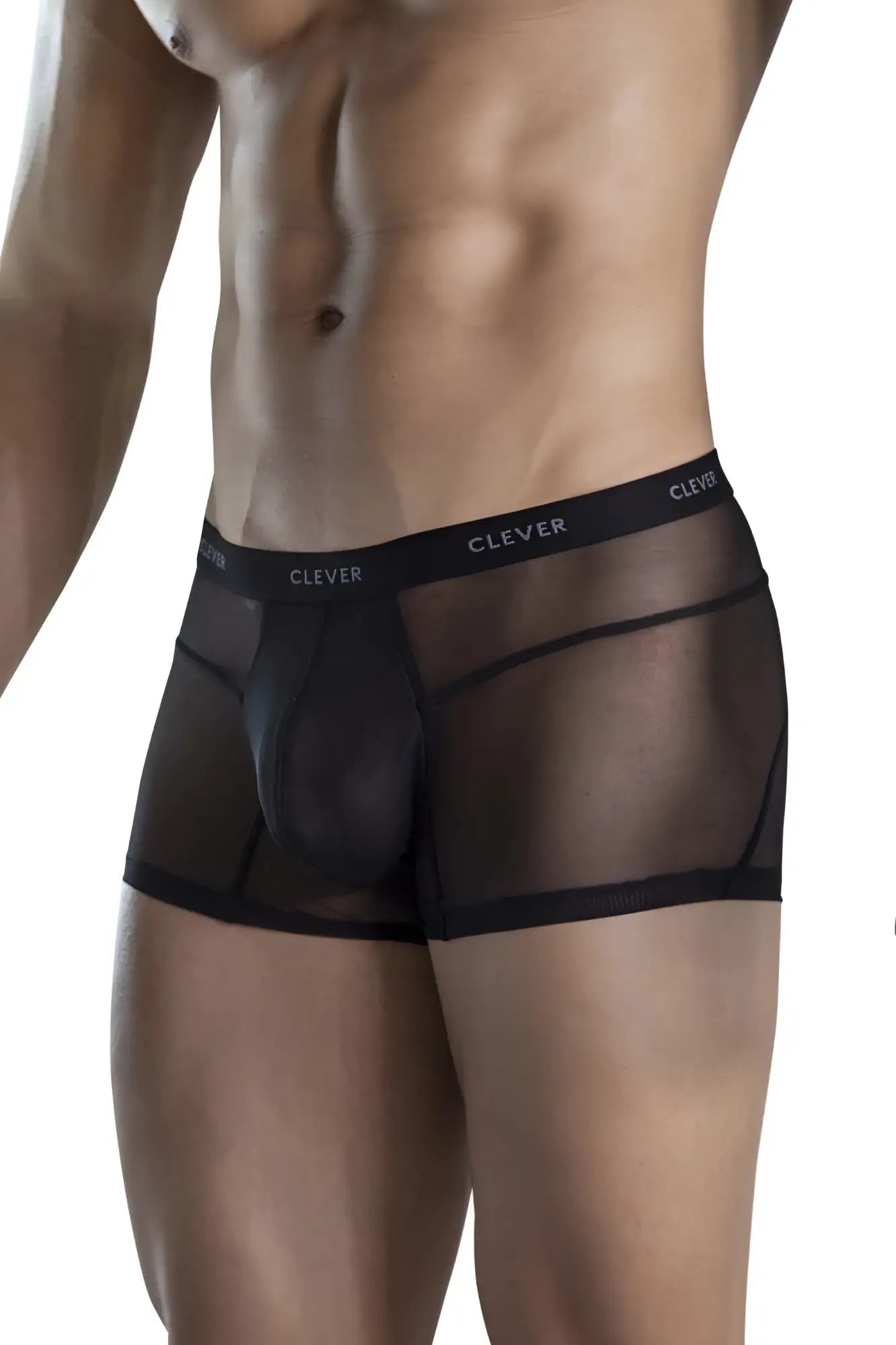 Clever 1673 legend trunks black sheer mesh boxer briefs with solid black waistband and clever brand name
